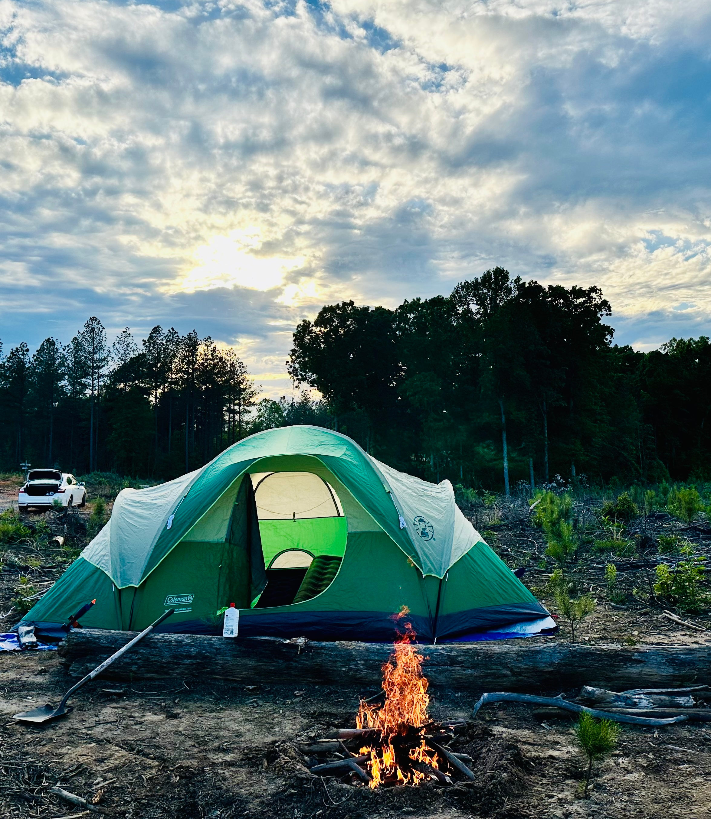 plenty of places to set up a site, 66 acres of privacy and bliss