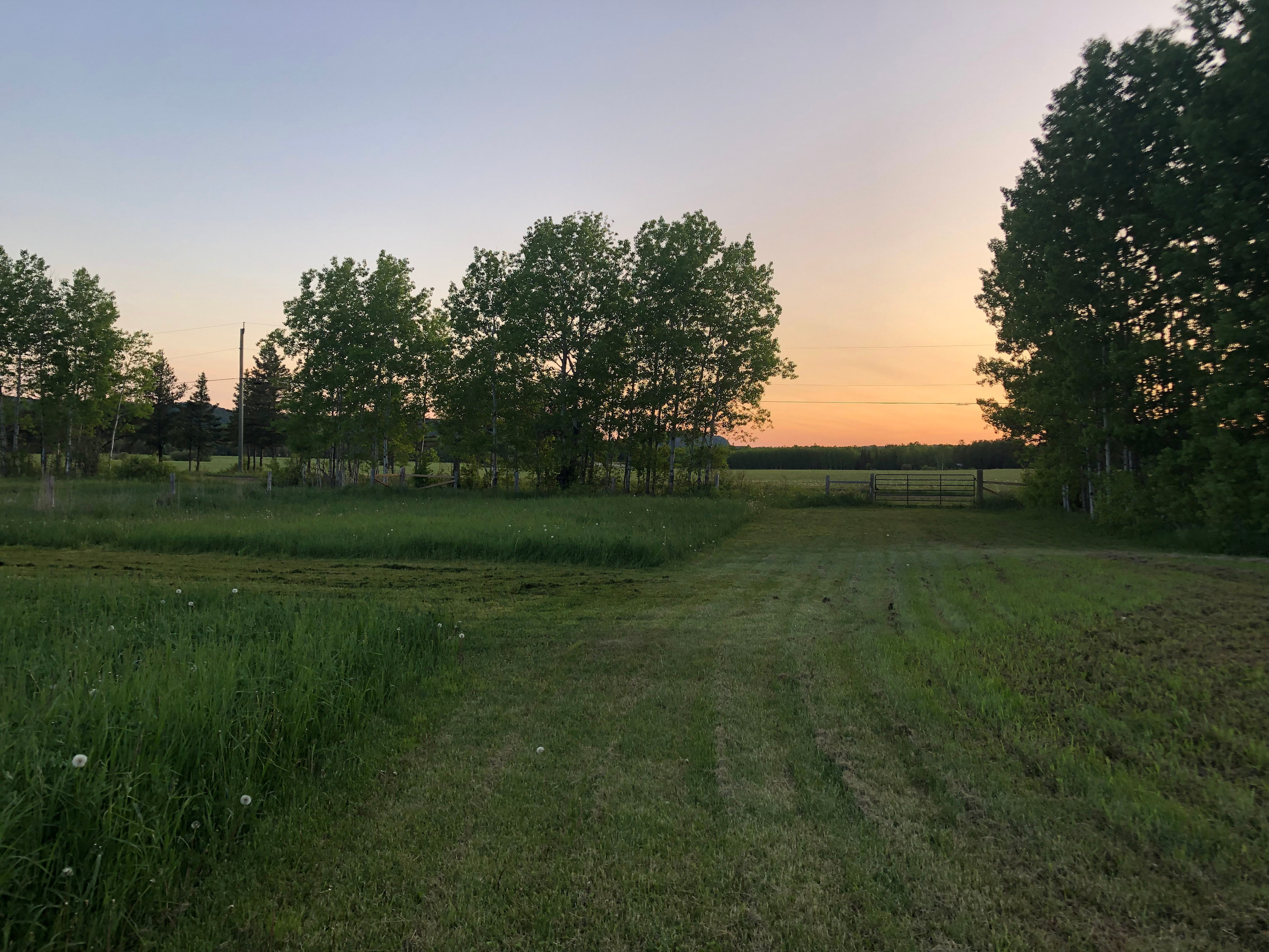 Peaceful Poplars Homestead