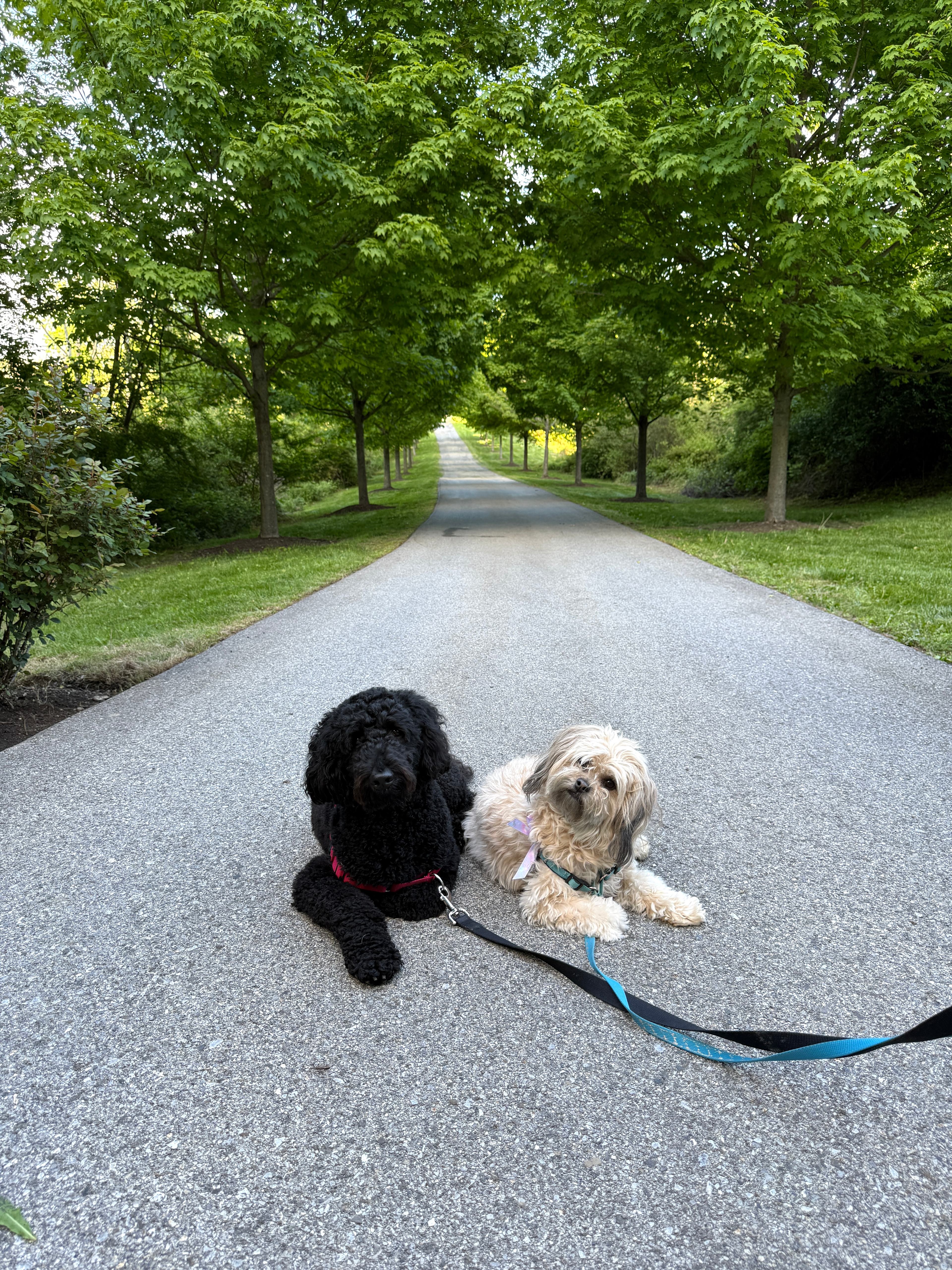 Hudson Valley Farm Escape