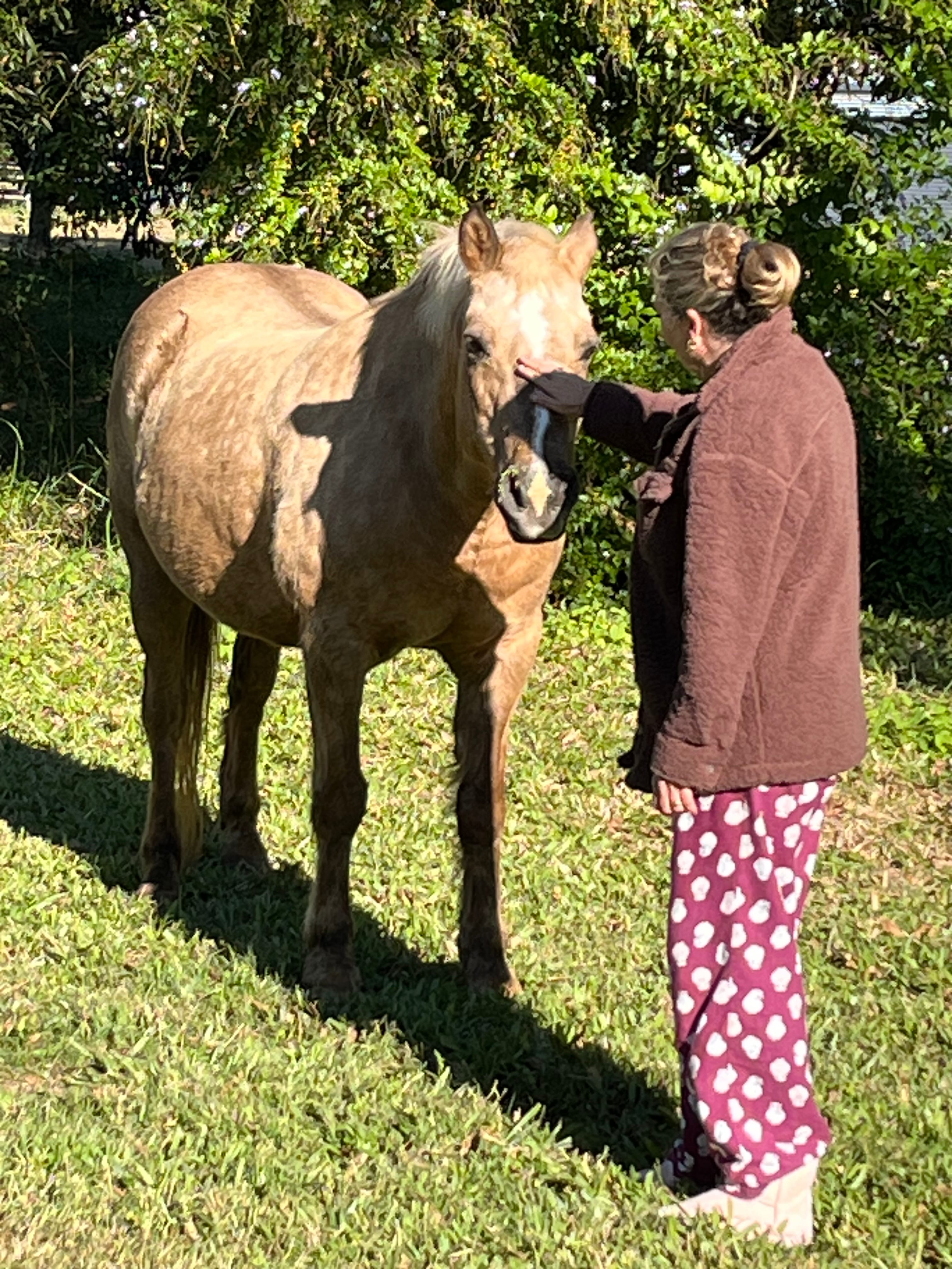 Clyde’s Forest Farm Adventure