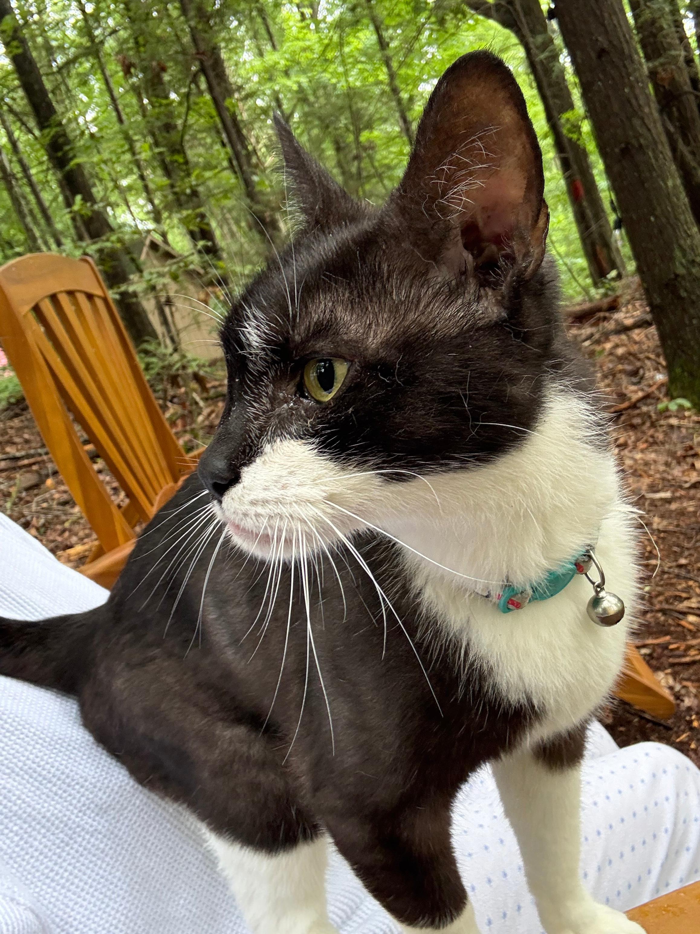 Lucky Otter Camper - Lakeside Nook