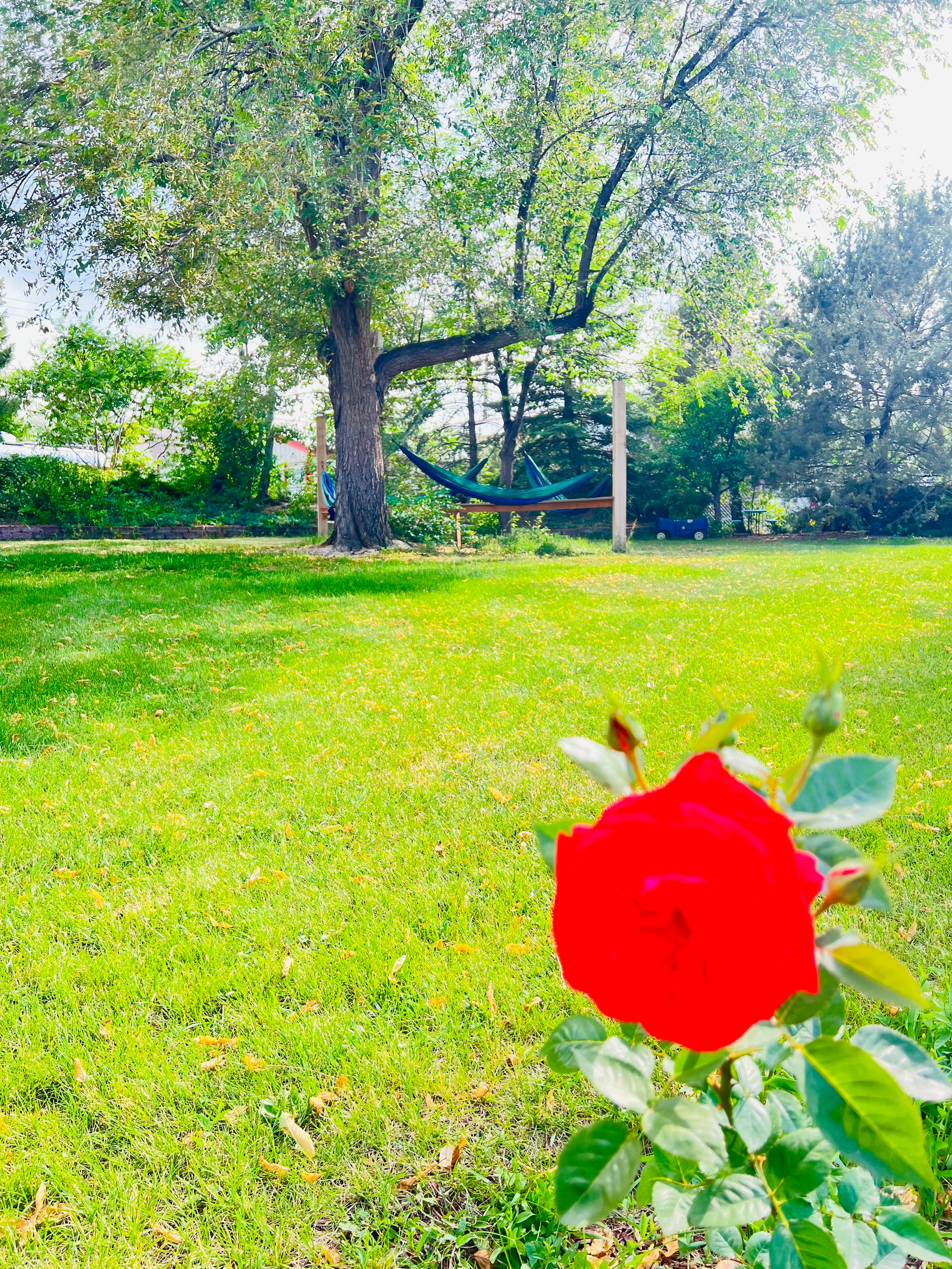 Mera Gardens
