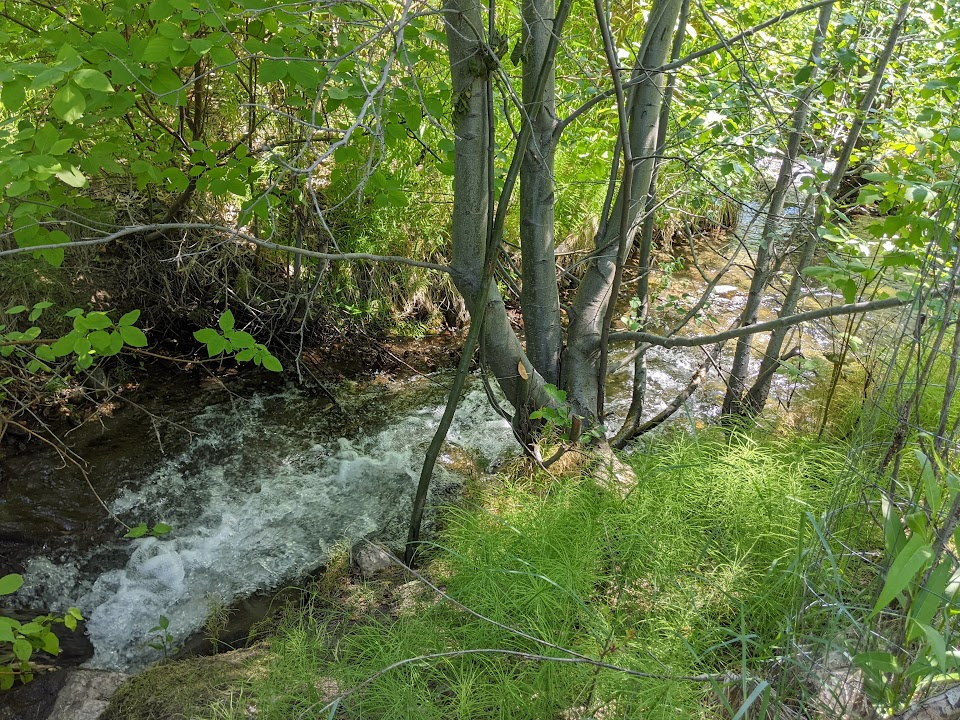 Twisp River Rustic Campground