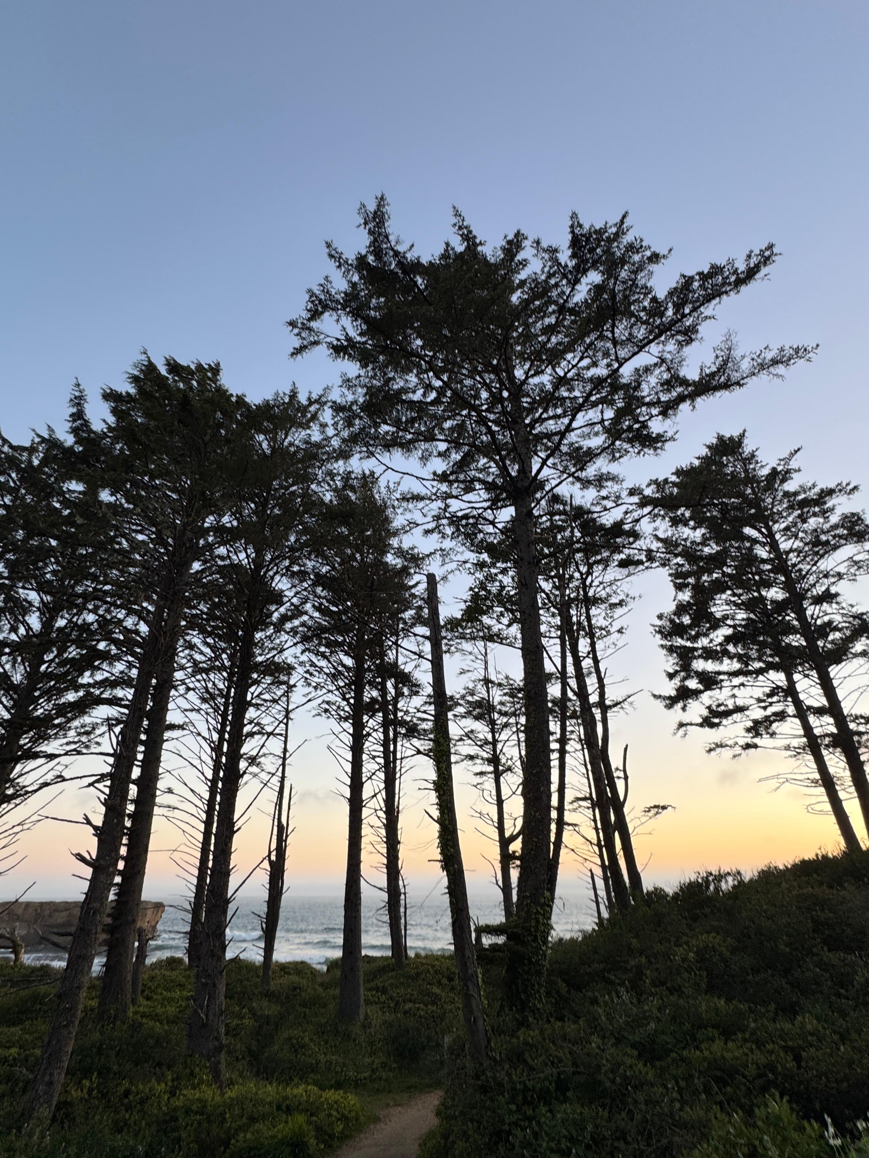 Dope Creek Surf Camp (Otter Rock)