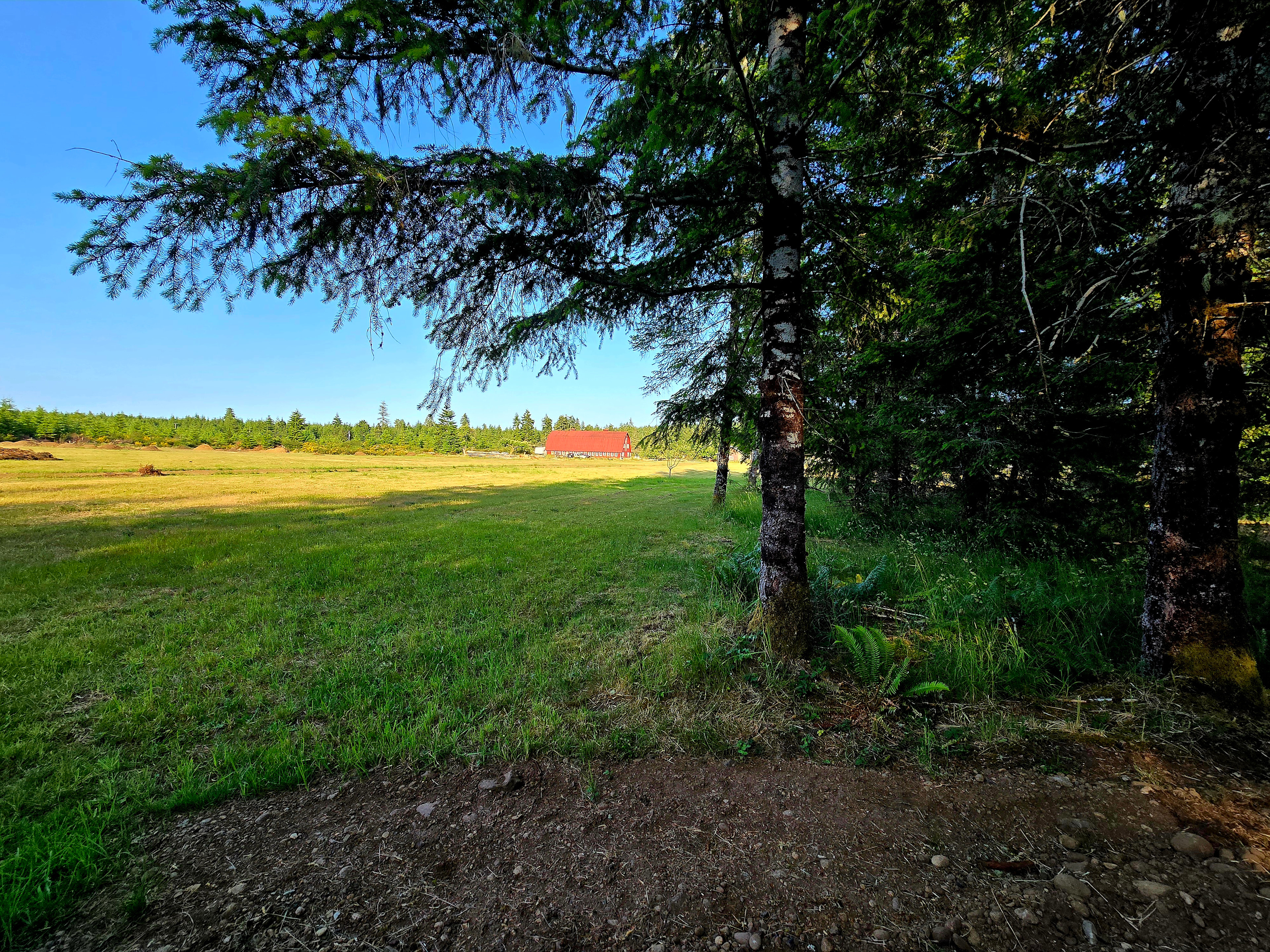 Shaw Family Farm