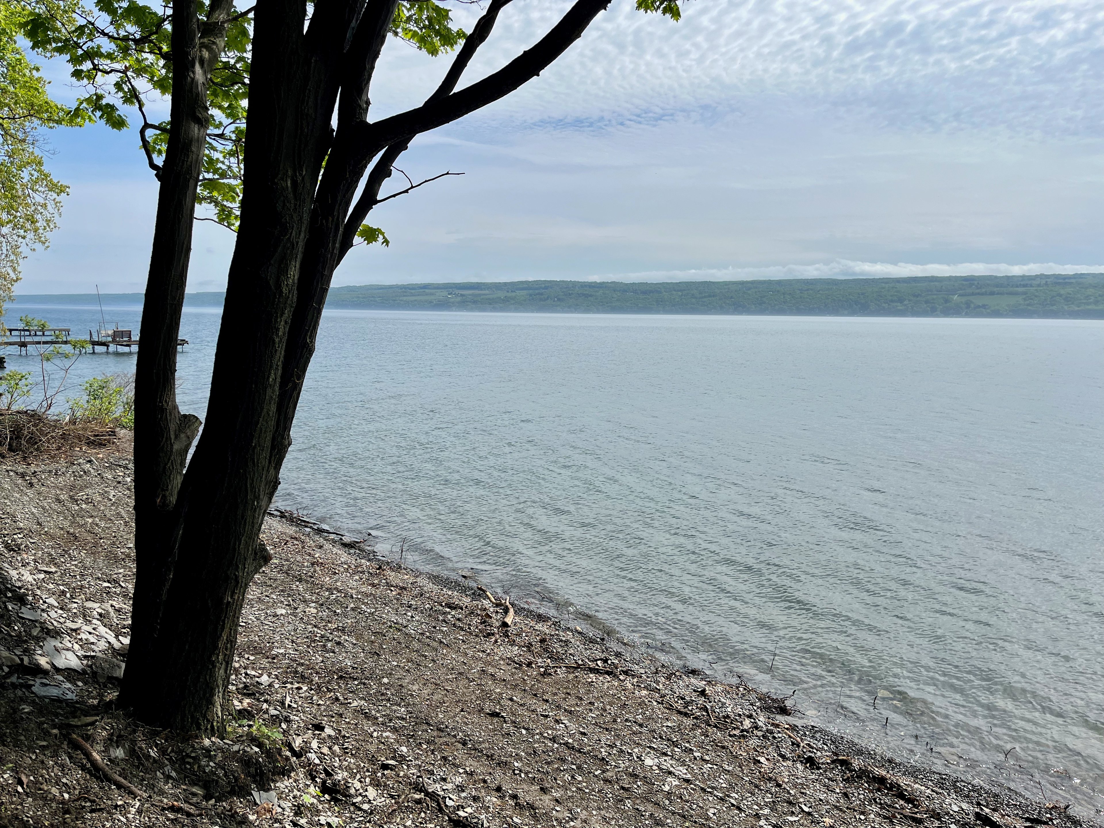 The Landing on Seneca Lake