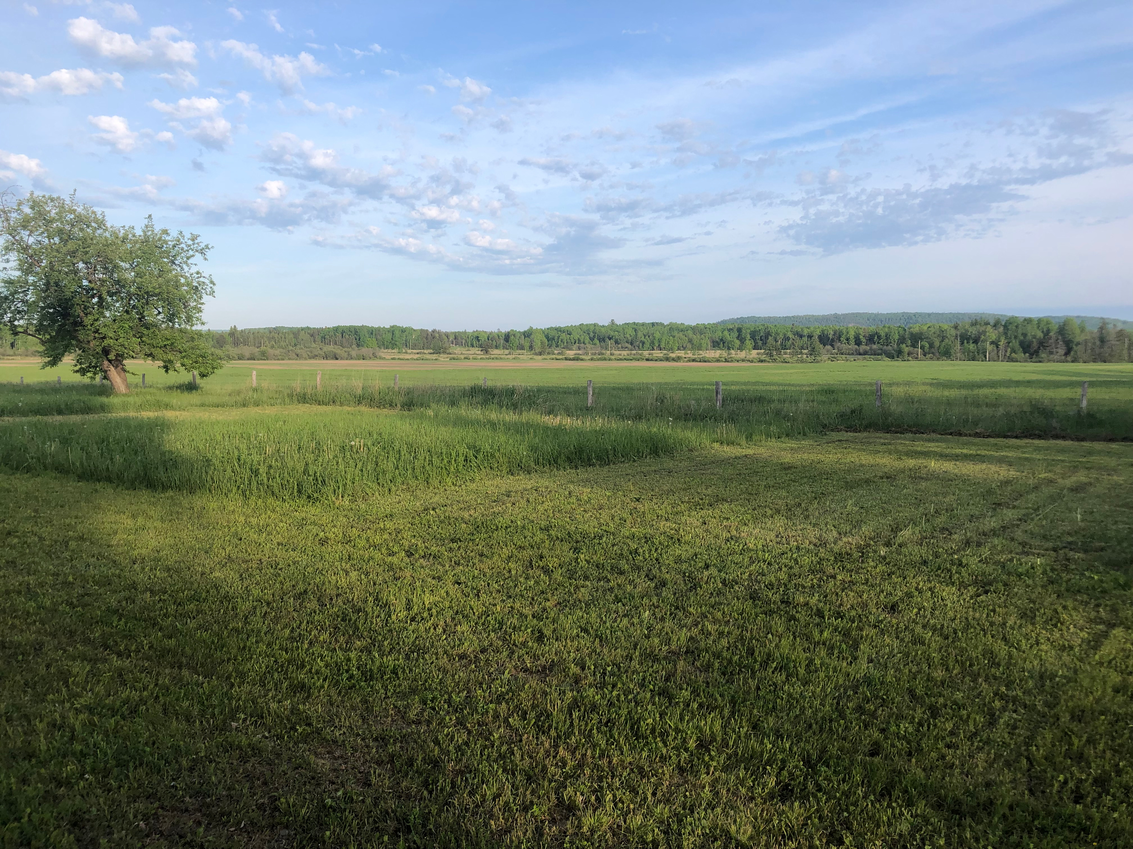 Peaceful Poplars Homestead