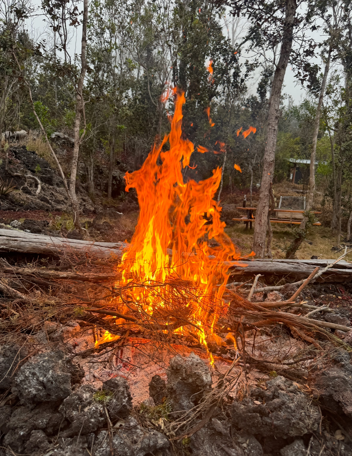 Fire pit. Fire wood provided. 