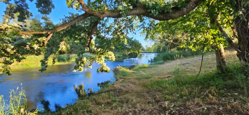 Relax by the river and listen to the wildlife.