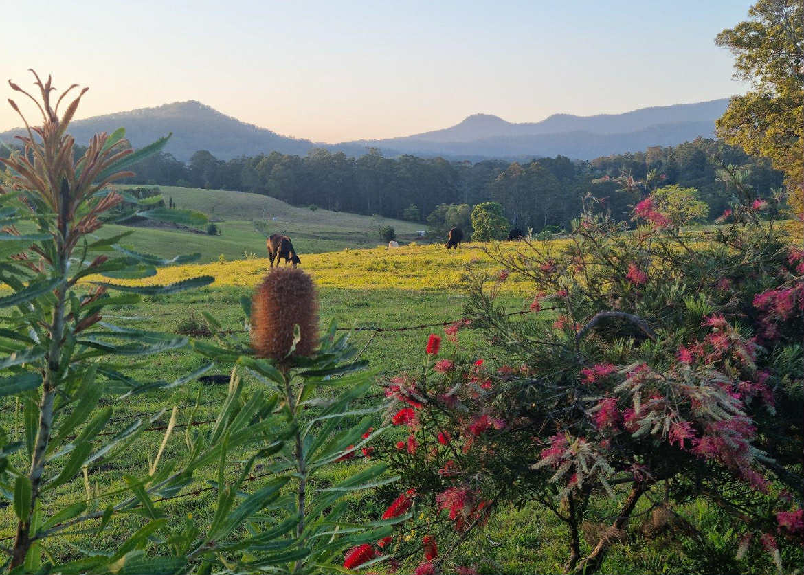 Wadeville Woolies Campground