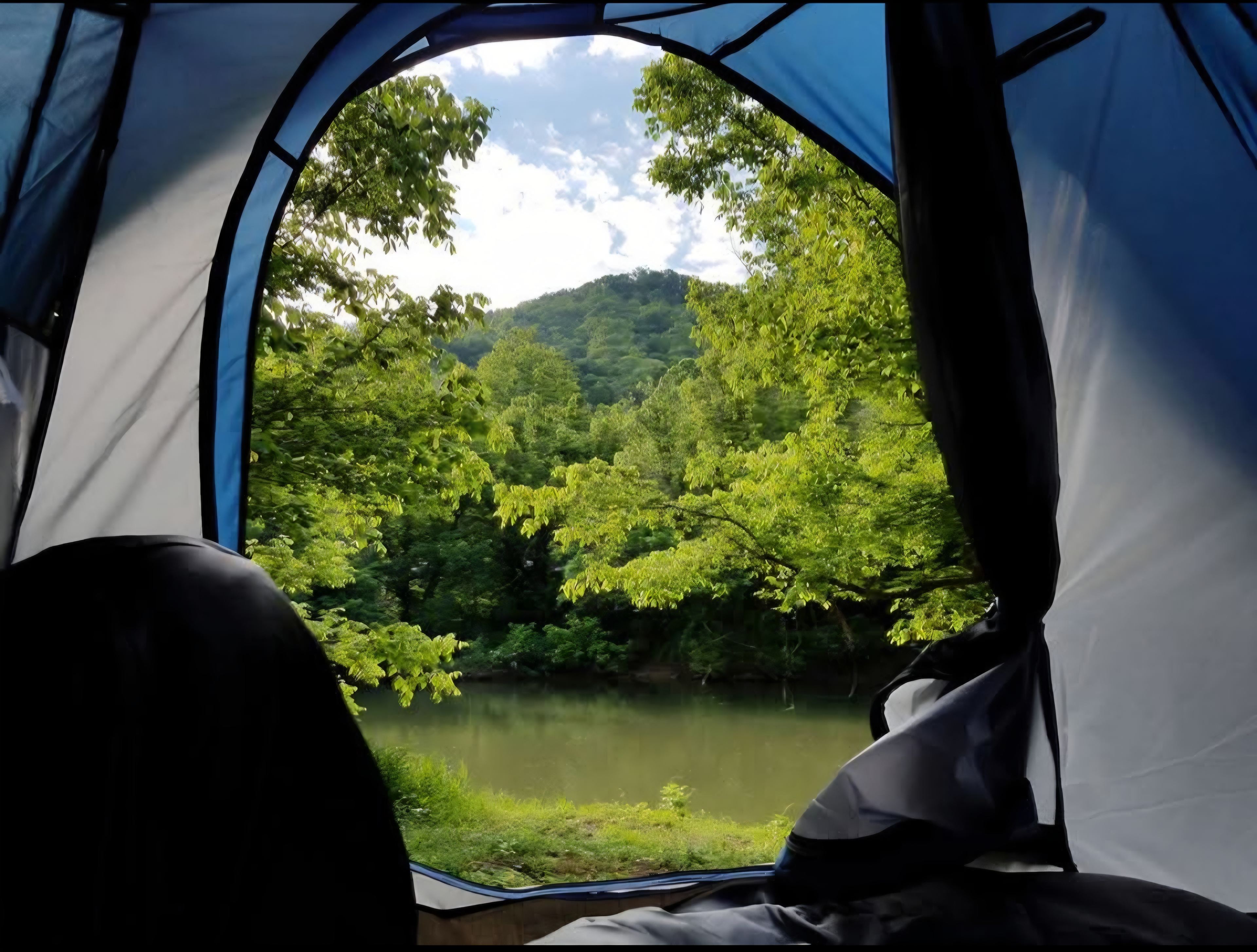 View from tent
