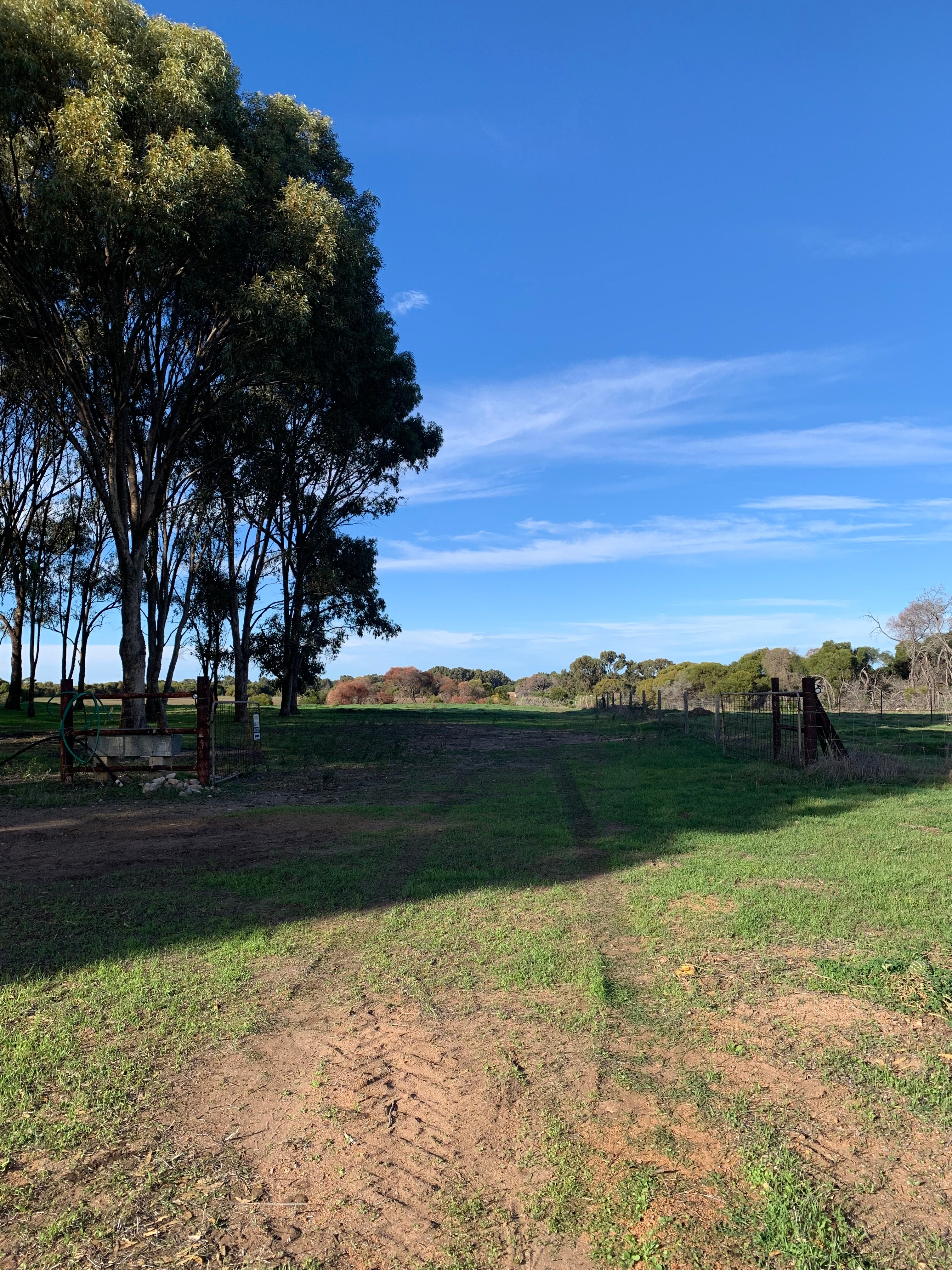 The Mallee Manor Campground Dongara