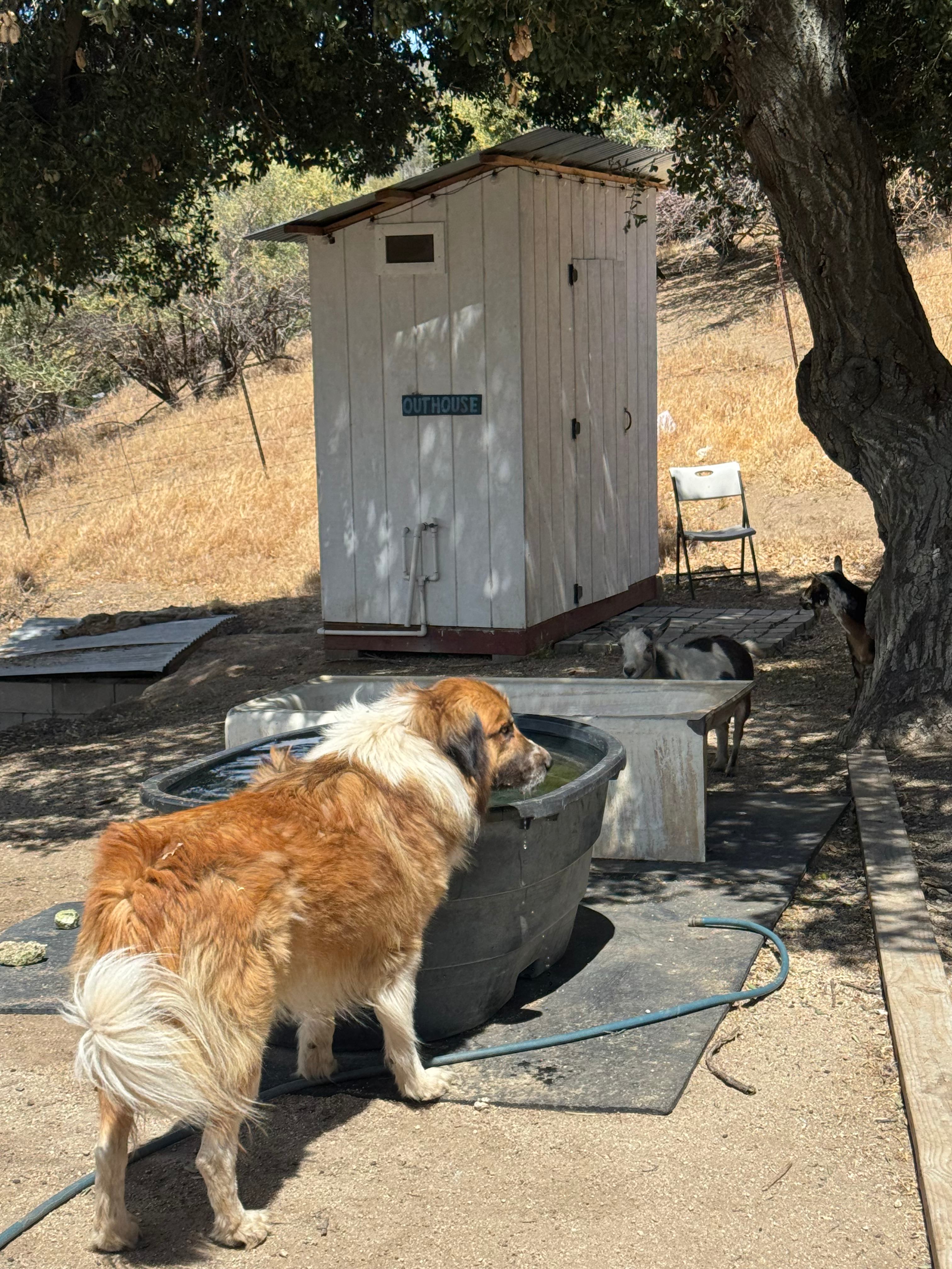 Loomerland Ranch and Retreat