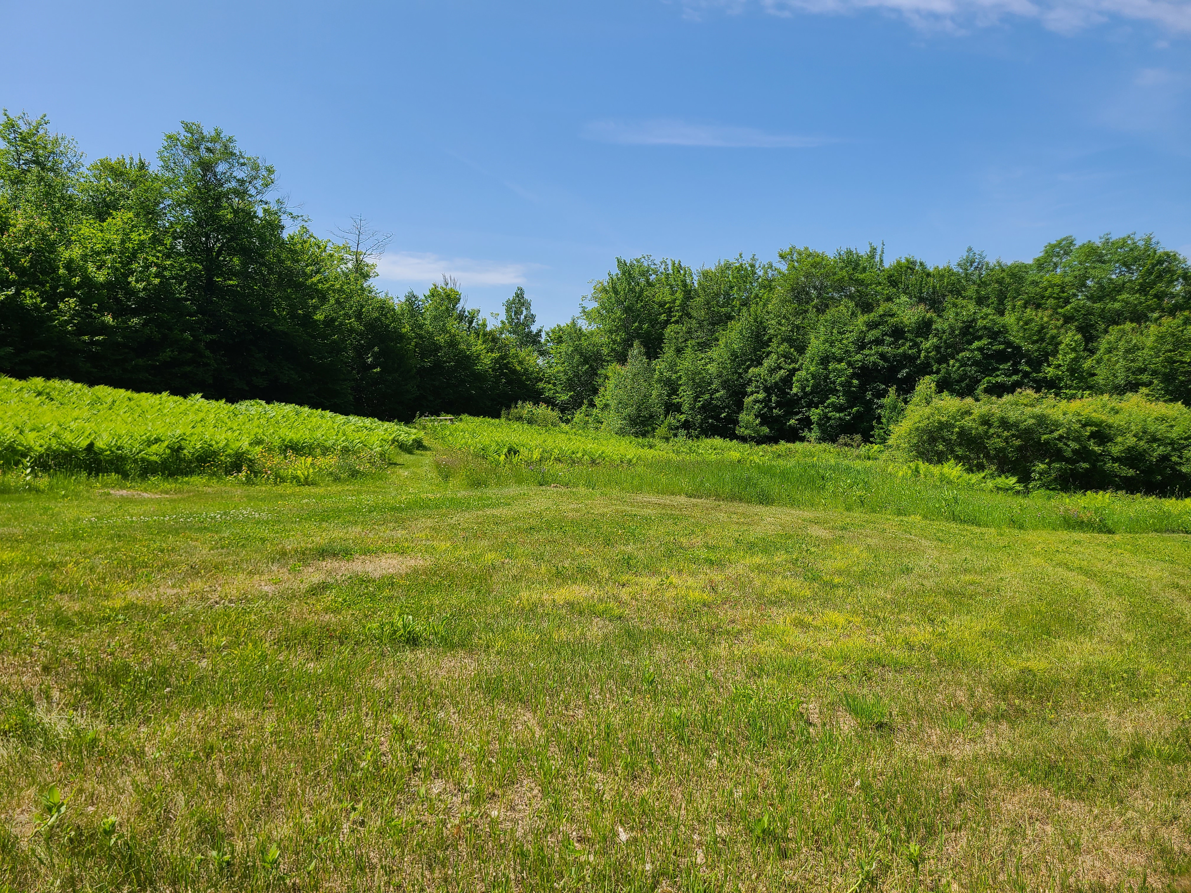 The Western View at Butters Hill