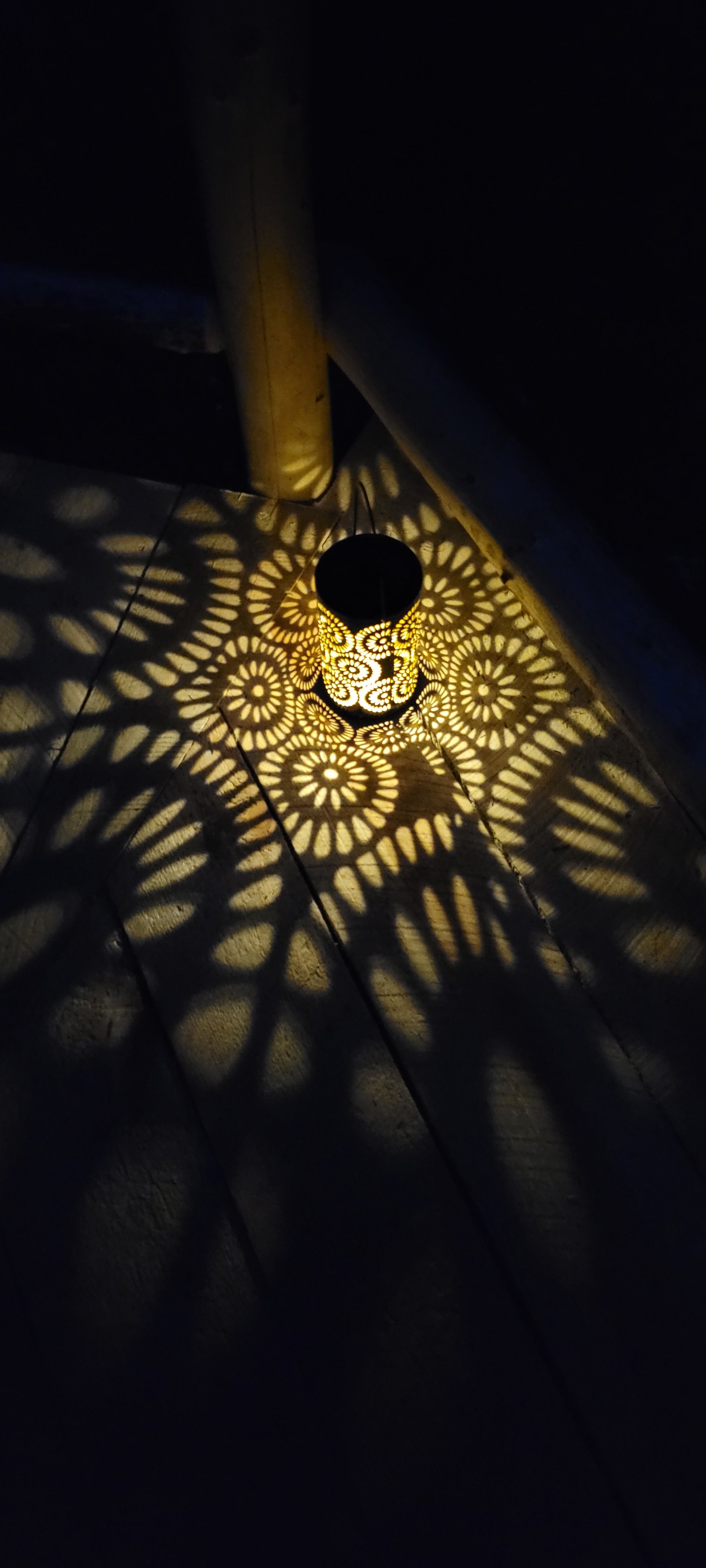 Moss Cottage Forest Glamping