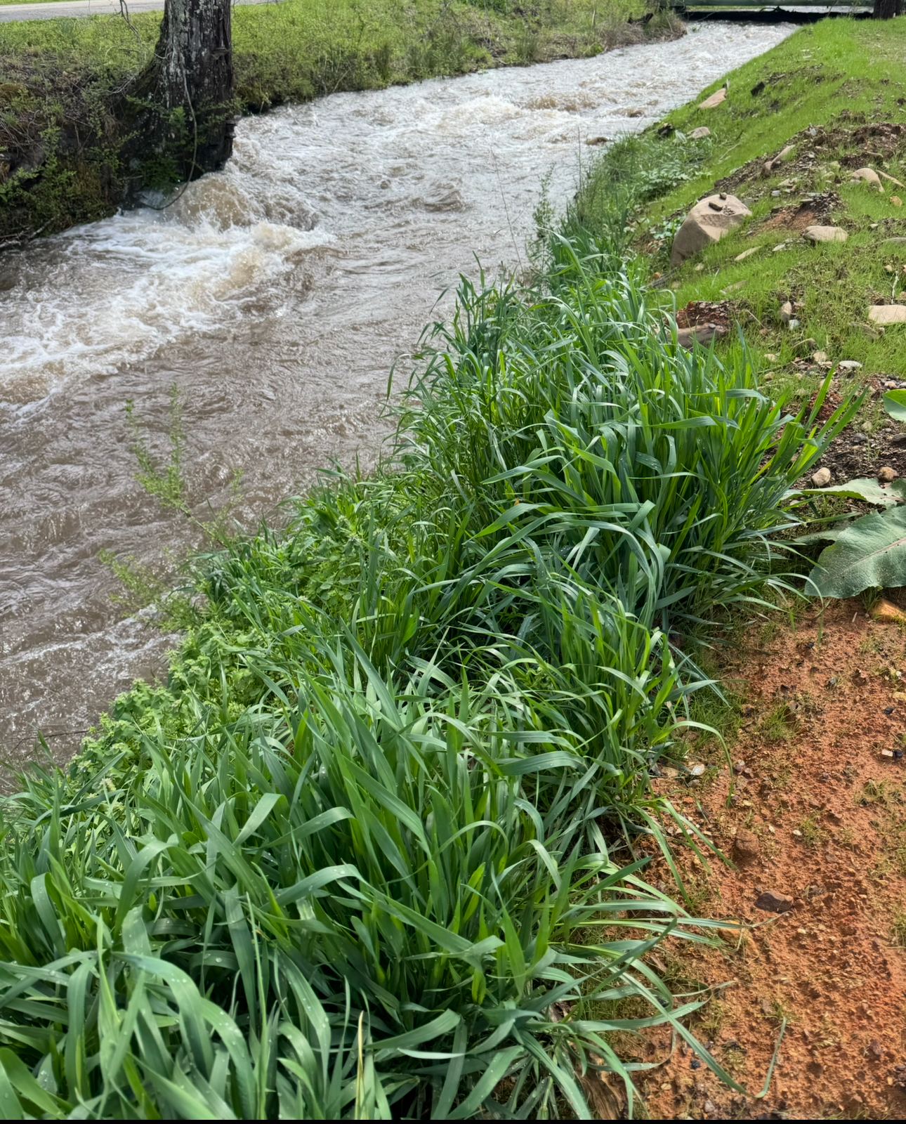 The Meadows at Double Creek RV Park