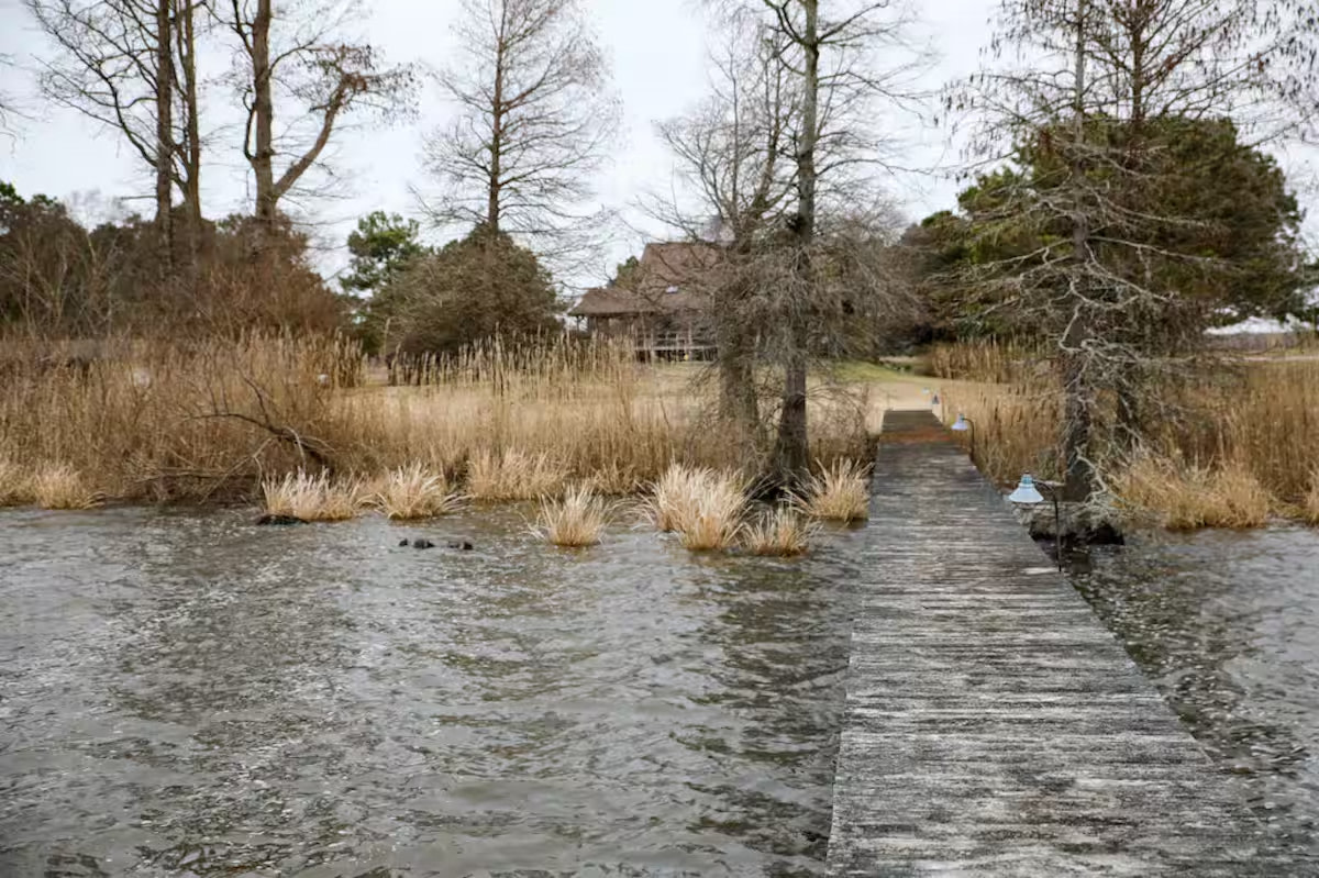 Wonderful Log Home on Lake Mattamuskeet