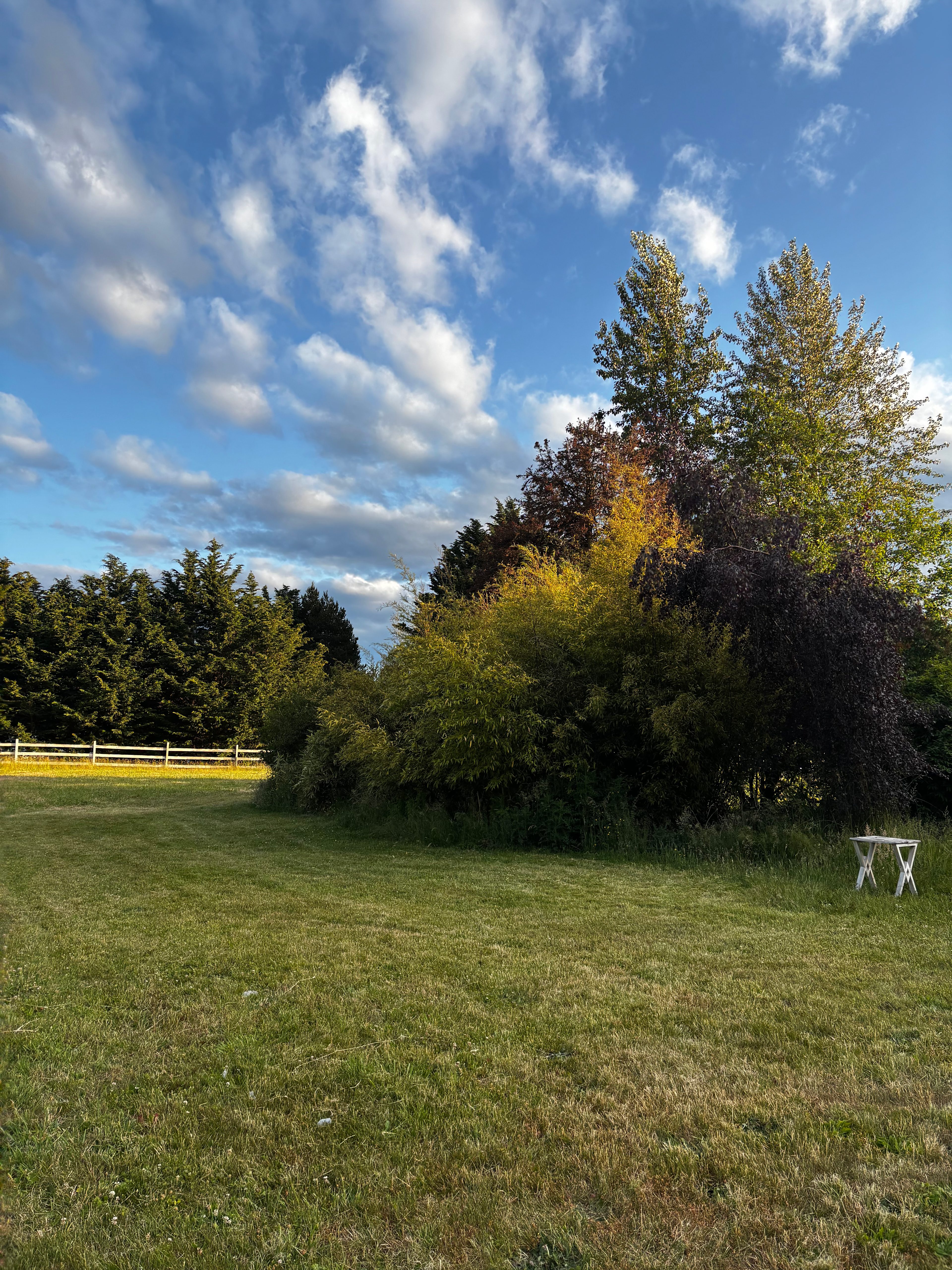 Fergy Fields