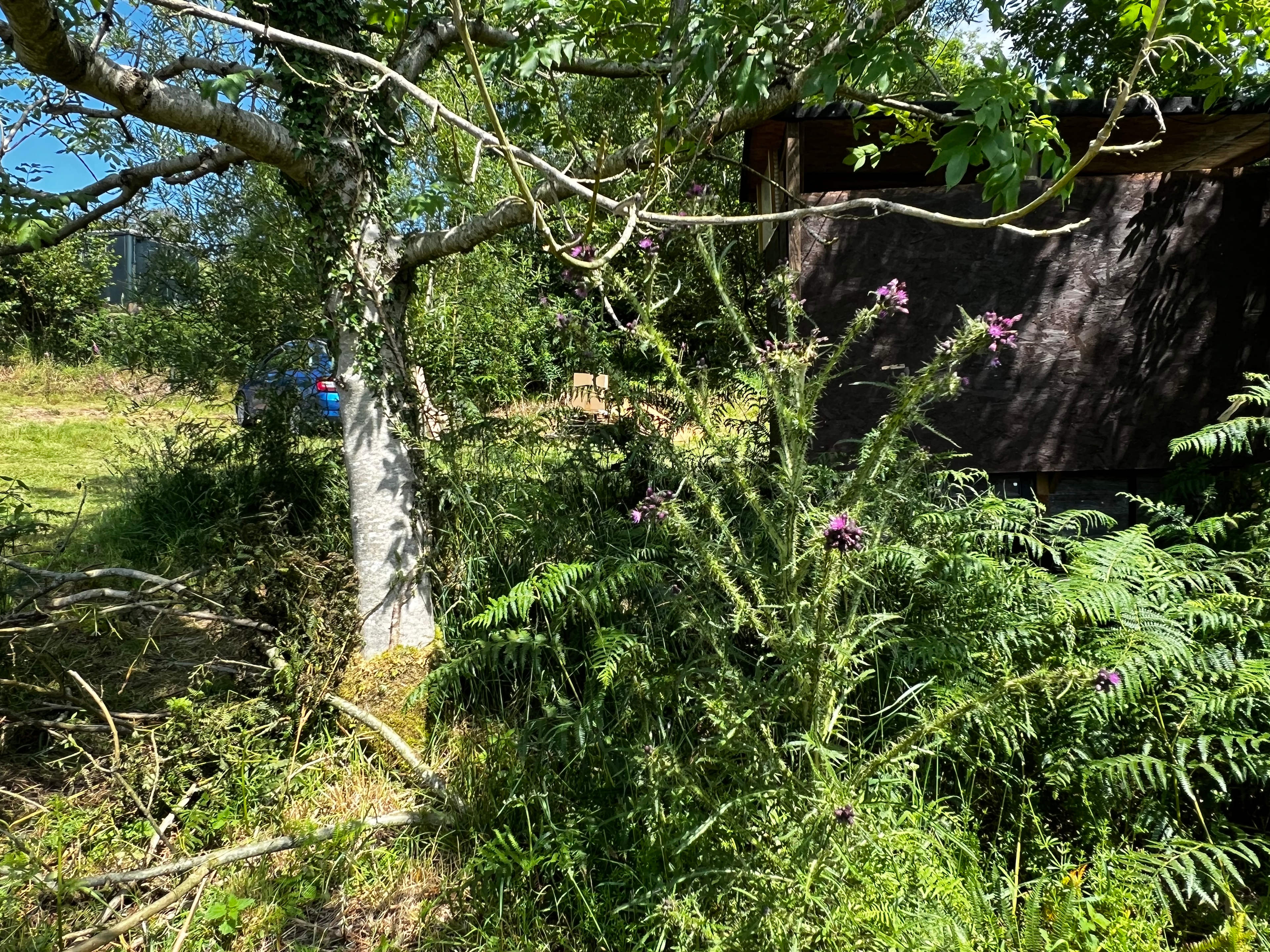 Look carefully and you can see the compost loo, the parking area and the horse box. All quite close together.