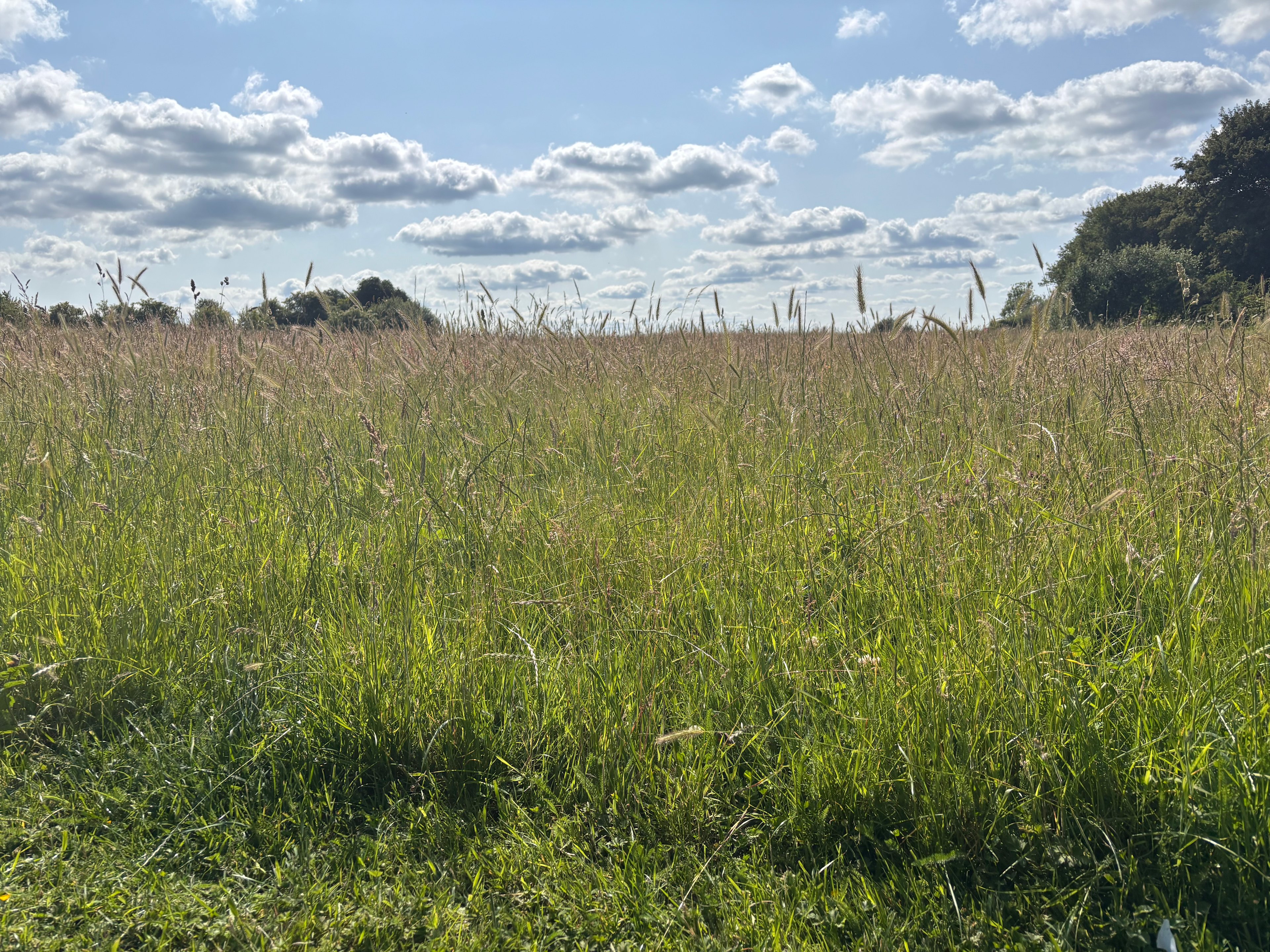 Hill Top Farm Wild Camping