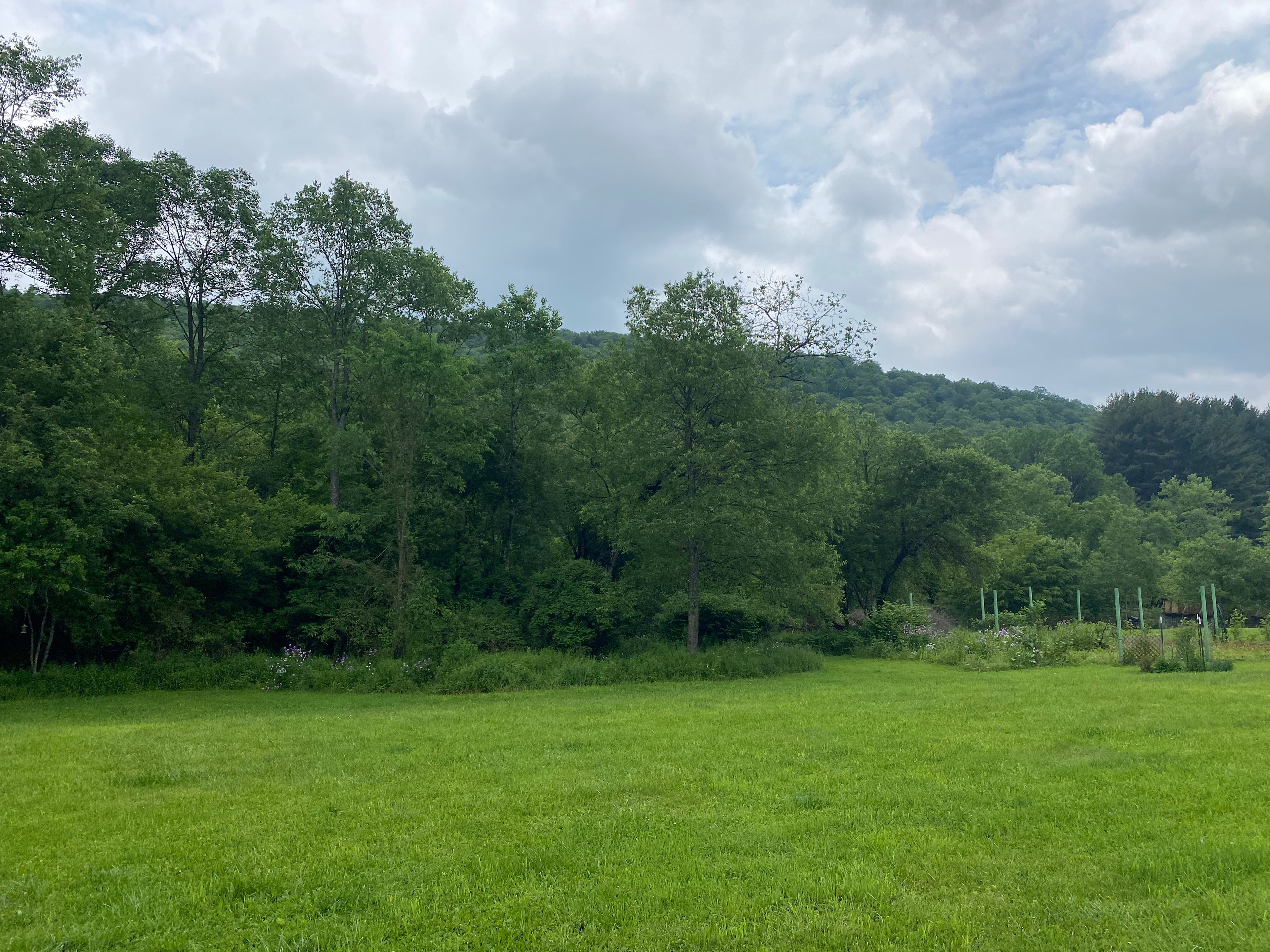 Quiet RV Site on Allegheny River