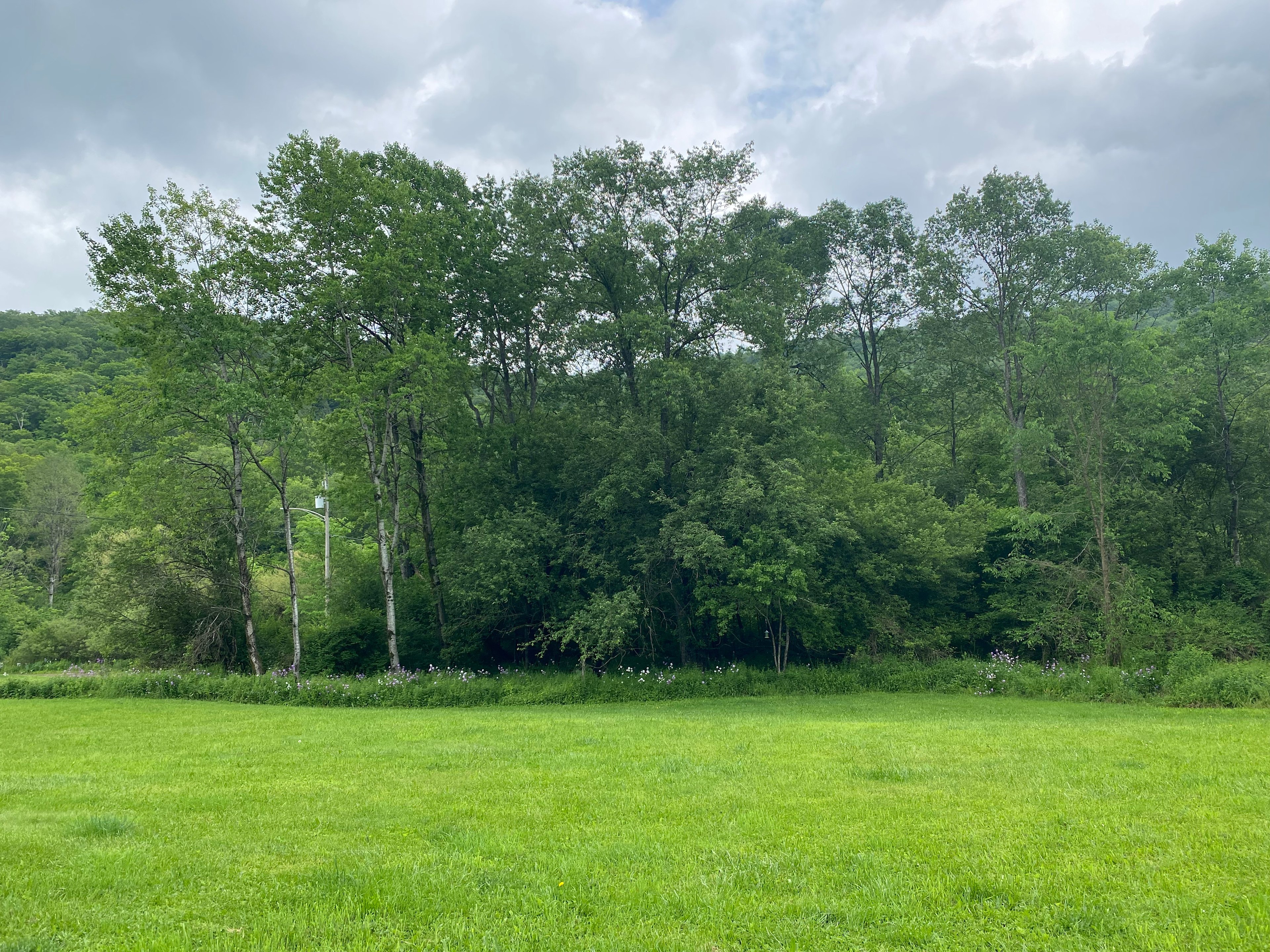 Quiet RV Site on Allegheny River