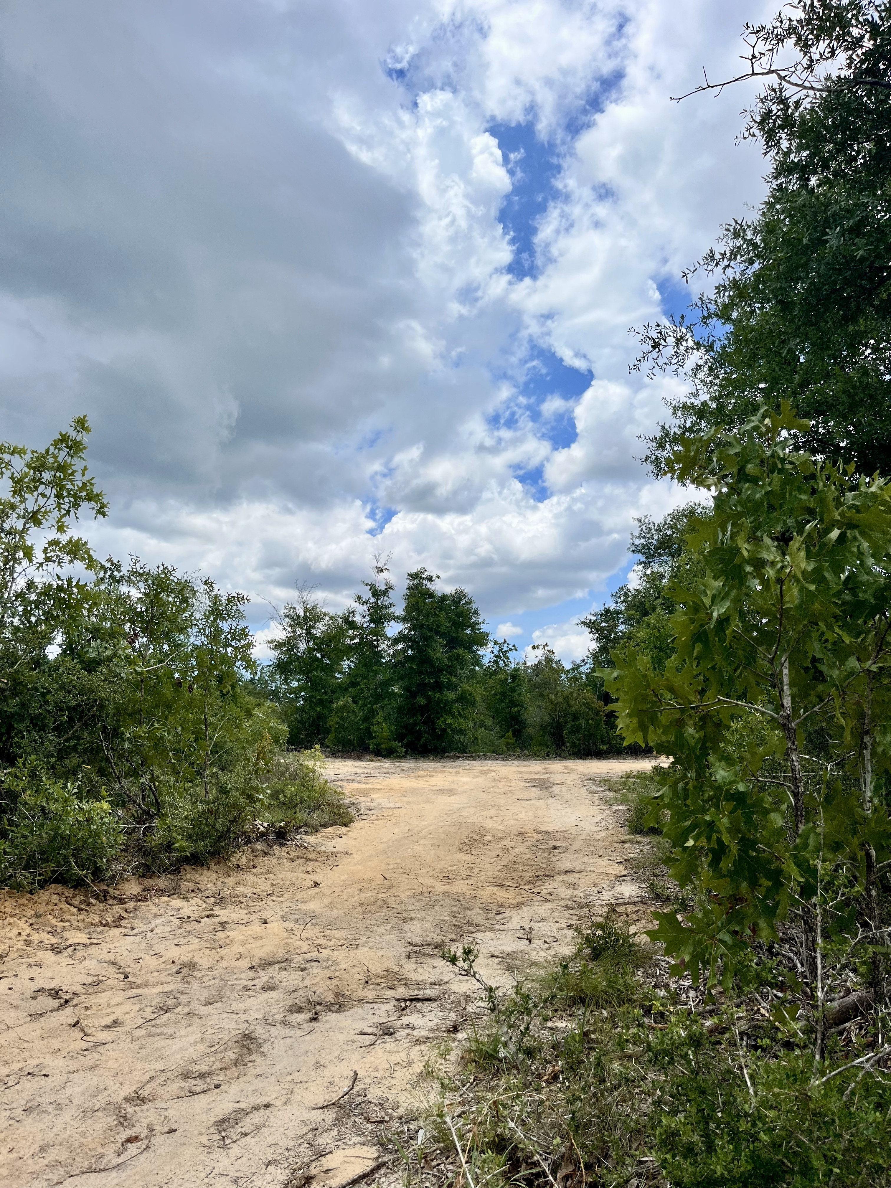 The driveway. Your campsite is on the right.