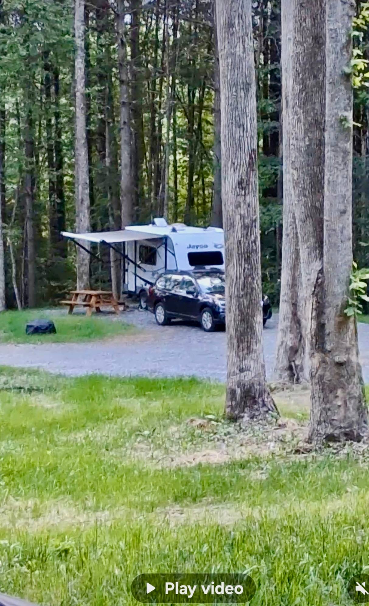 Claws cabins and RVs