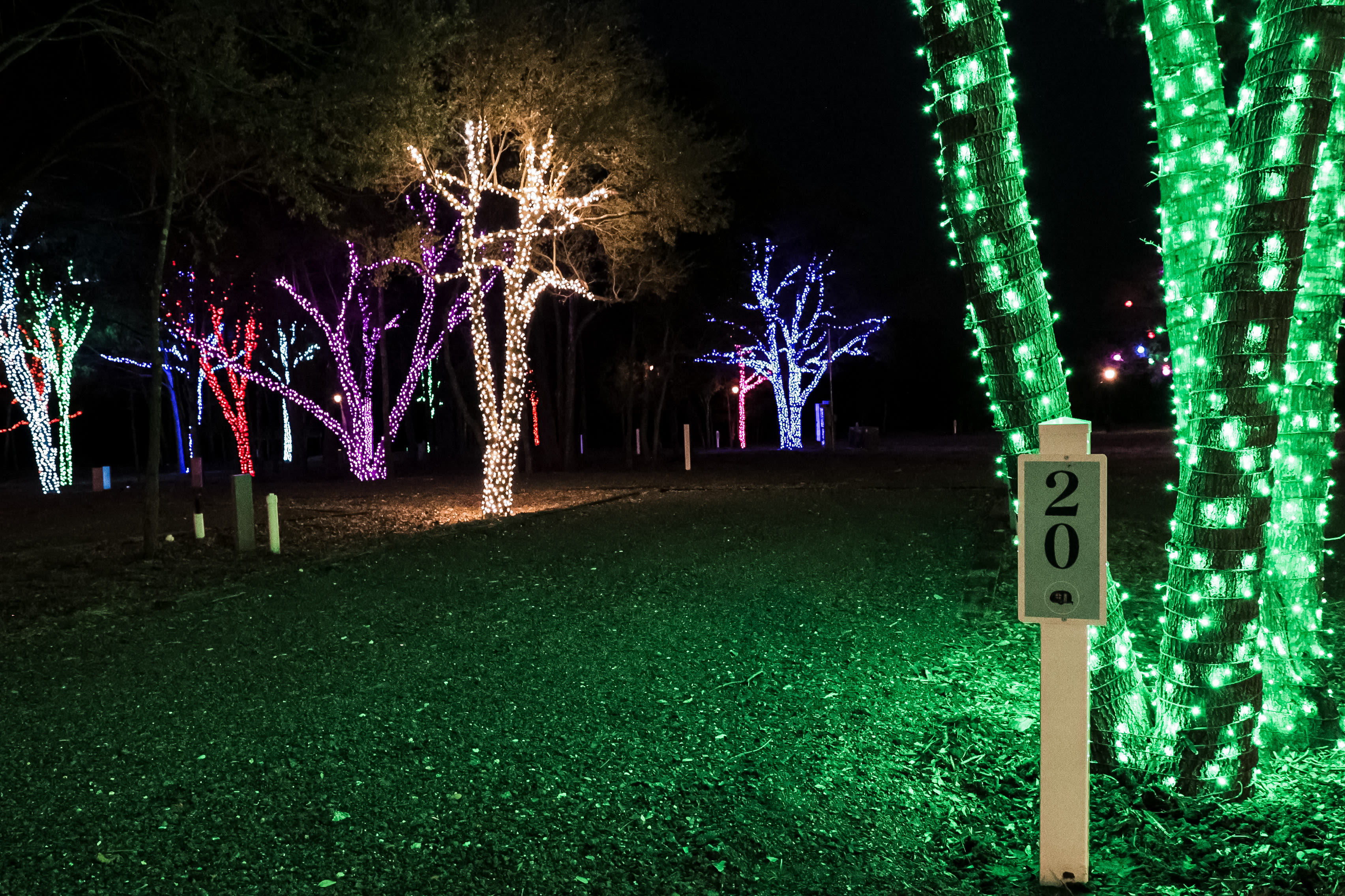 Christmas Light Camping at Yuletide
