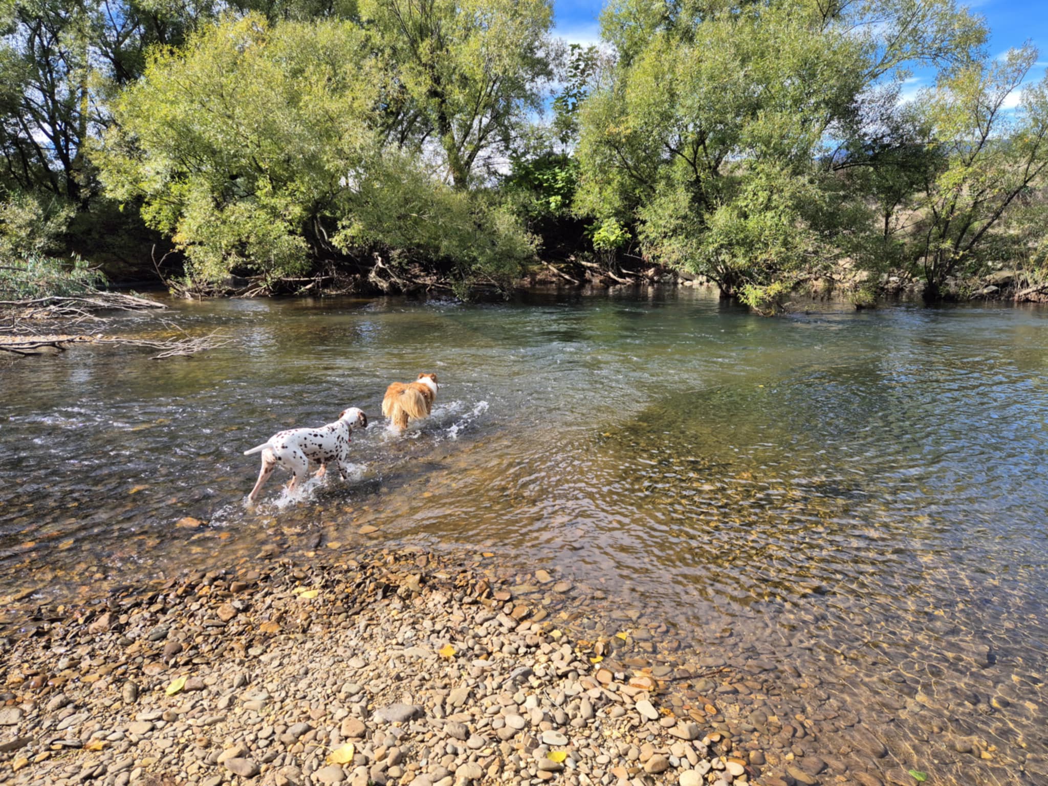 Myrtle Beech Campground