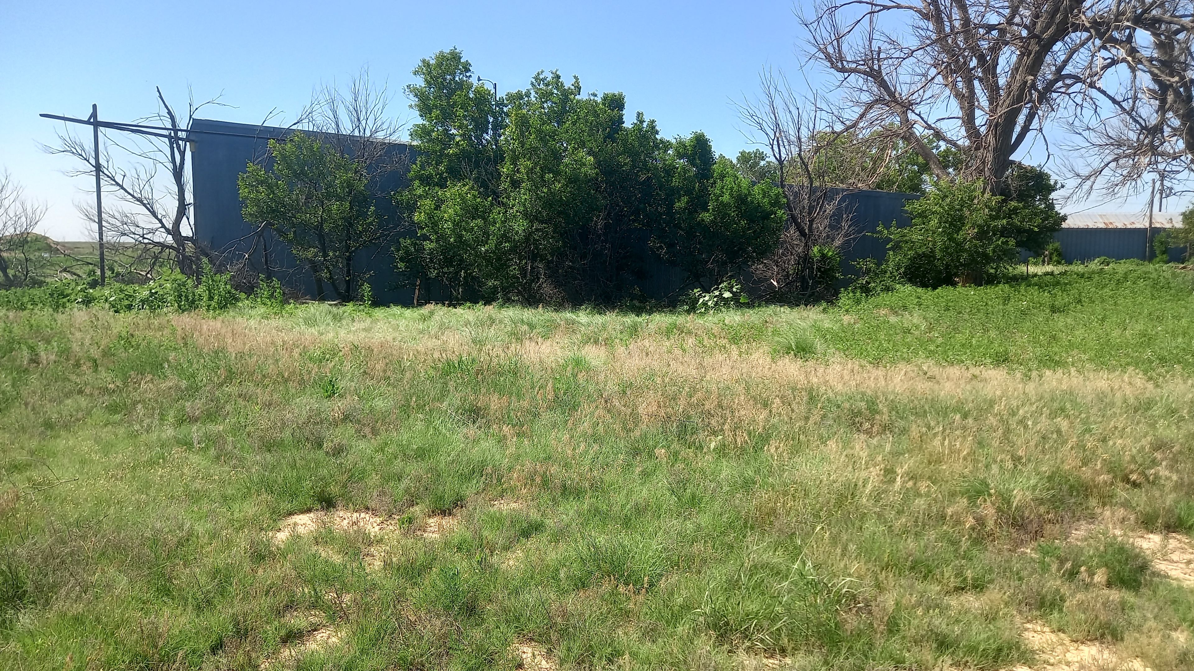 North of Airplane Hangar, tons of parking