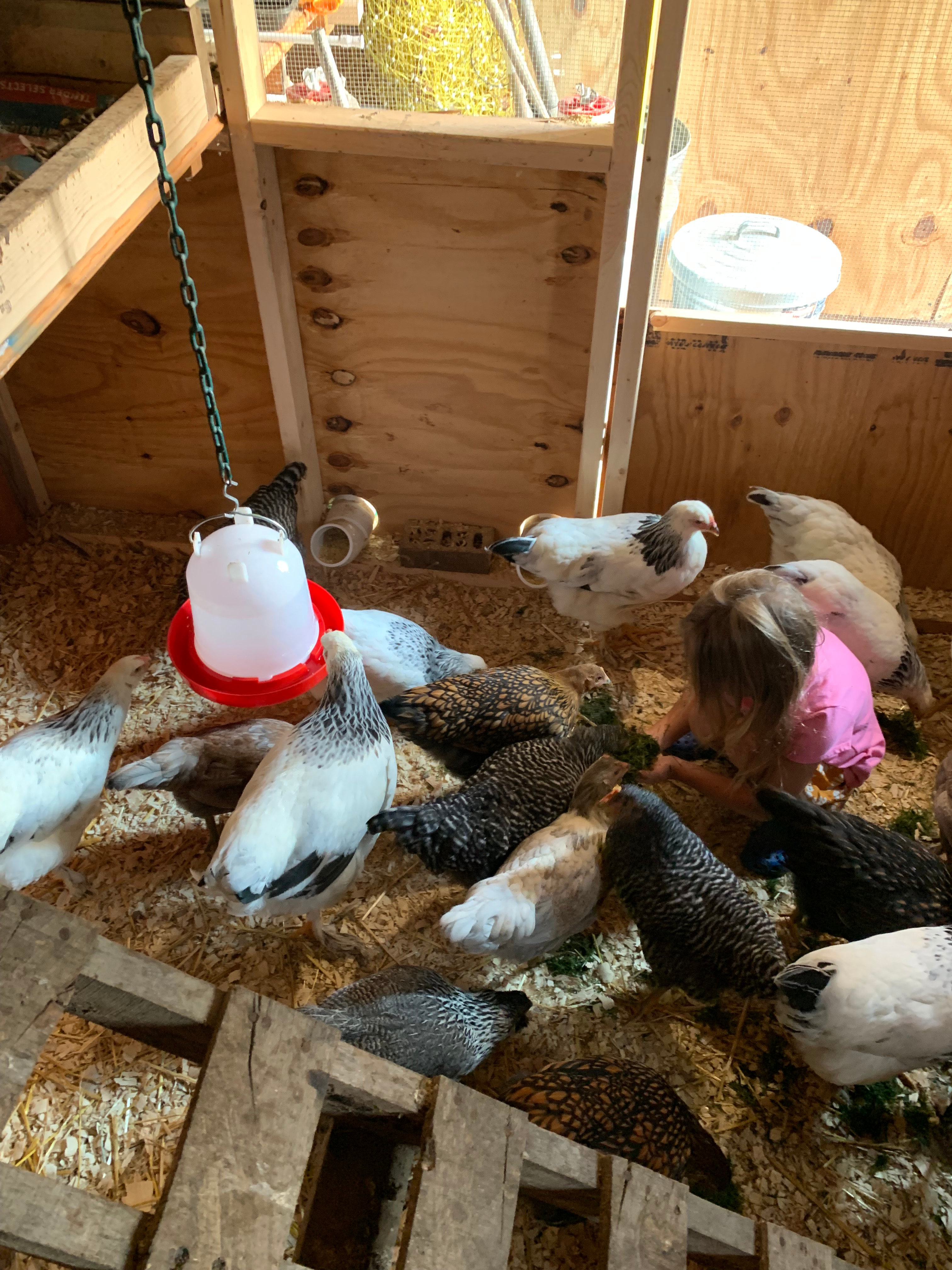 Campaway at Castle Breeze