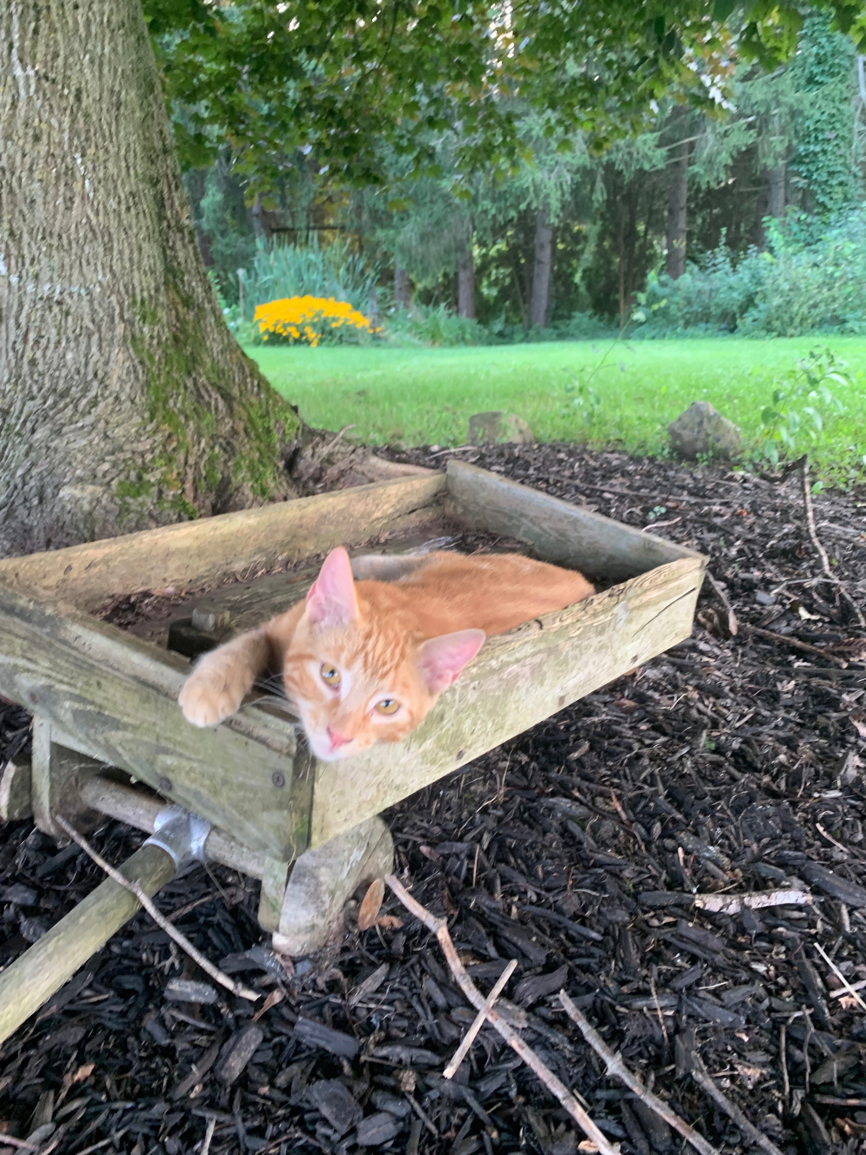 Campaway at Castle Breeze