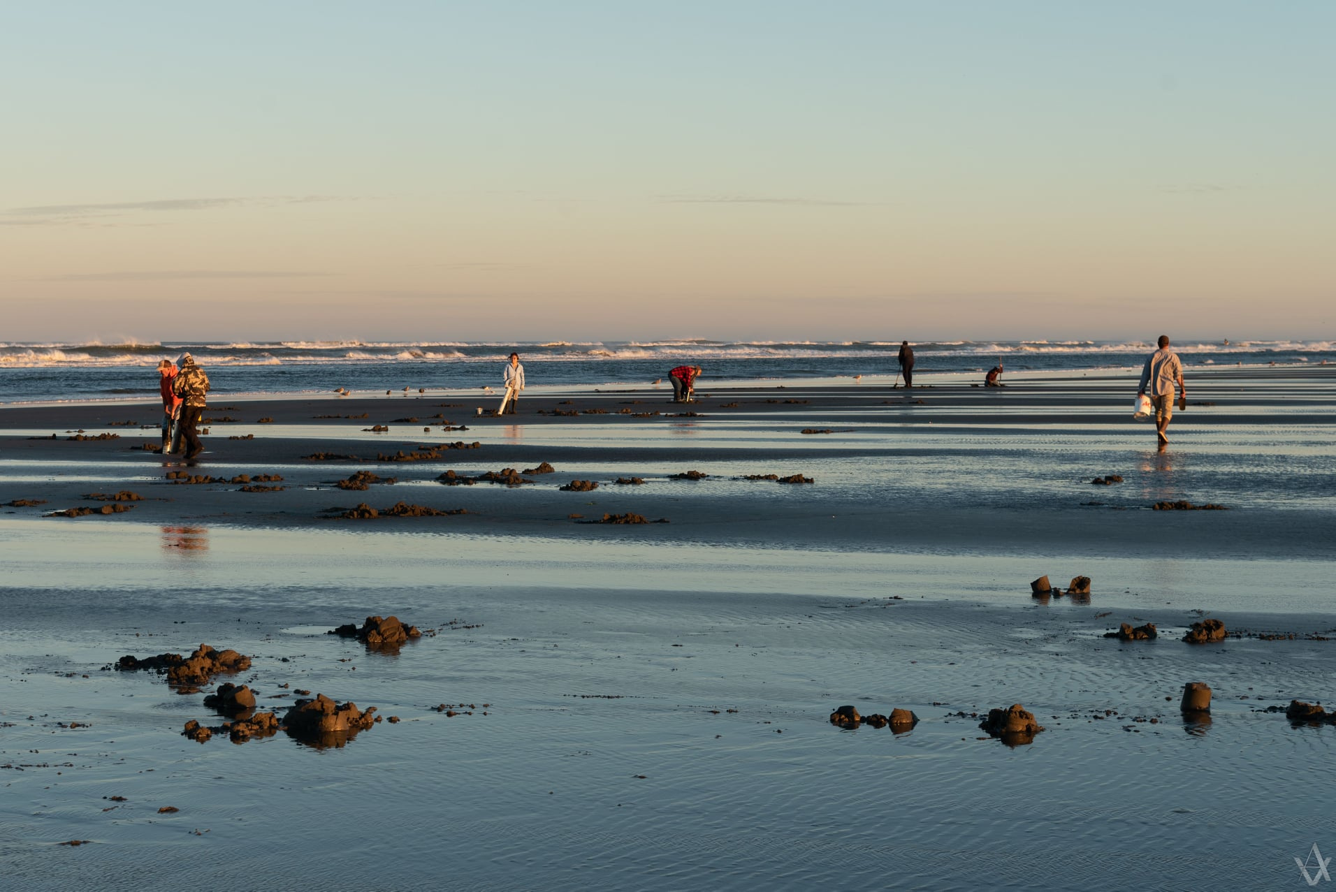 Low tide, salty air, and the quiet thrill of the dig.
