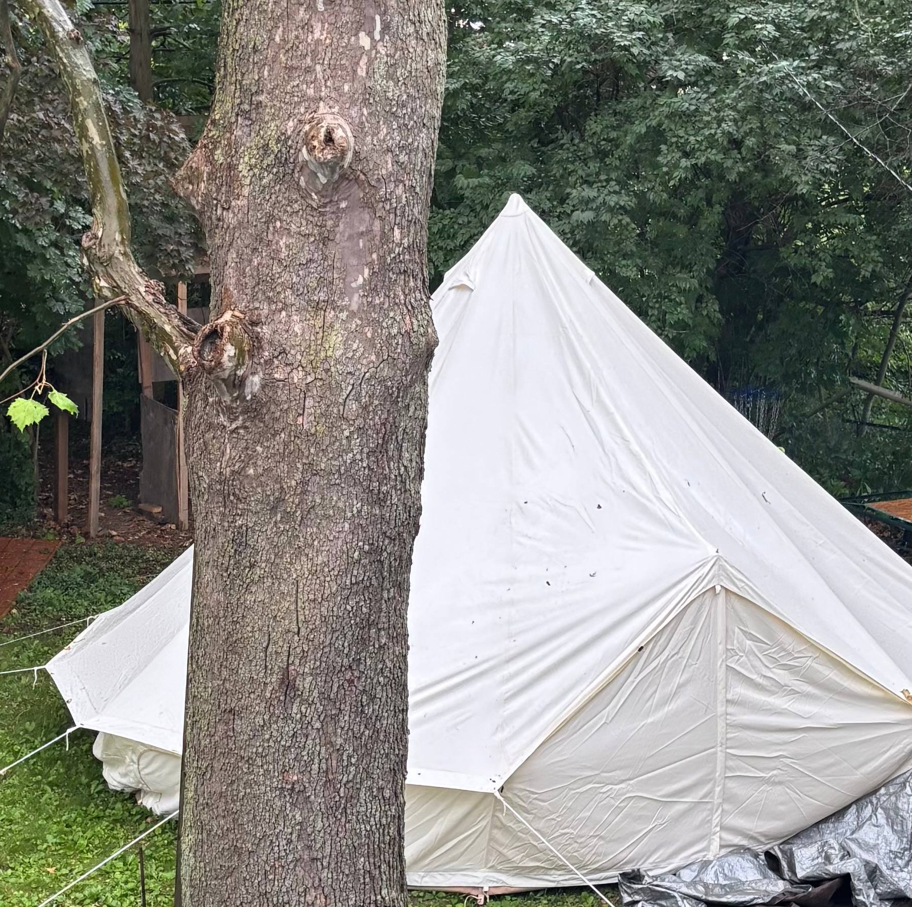 Urban Glamping