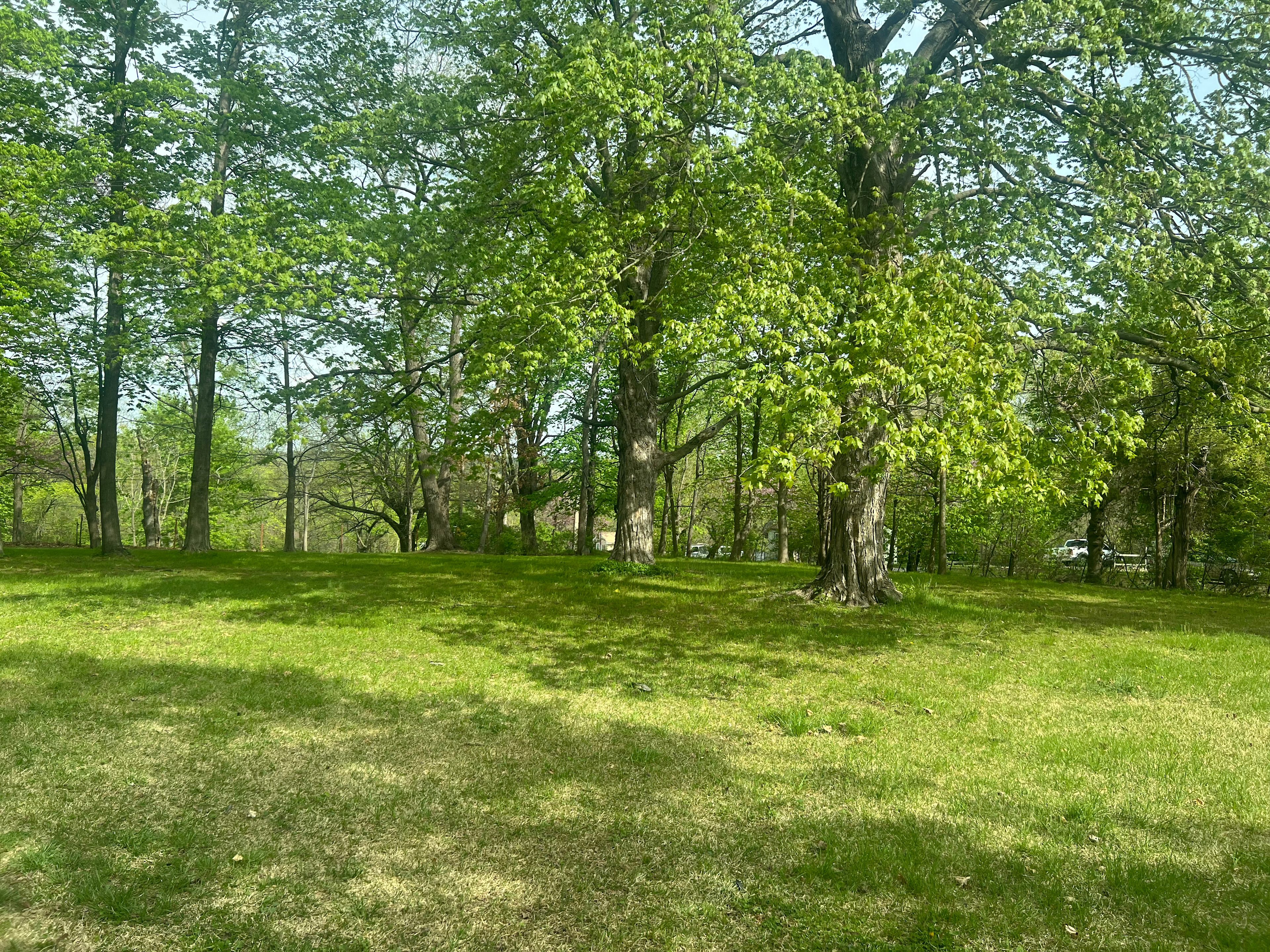 Liberated Grounds