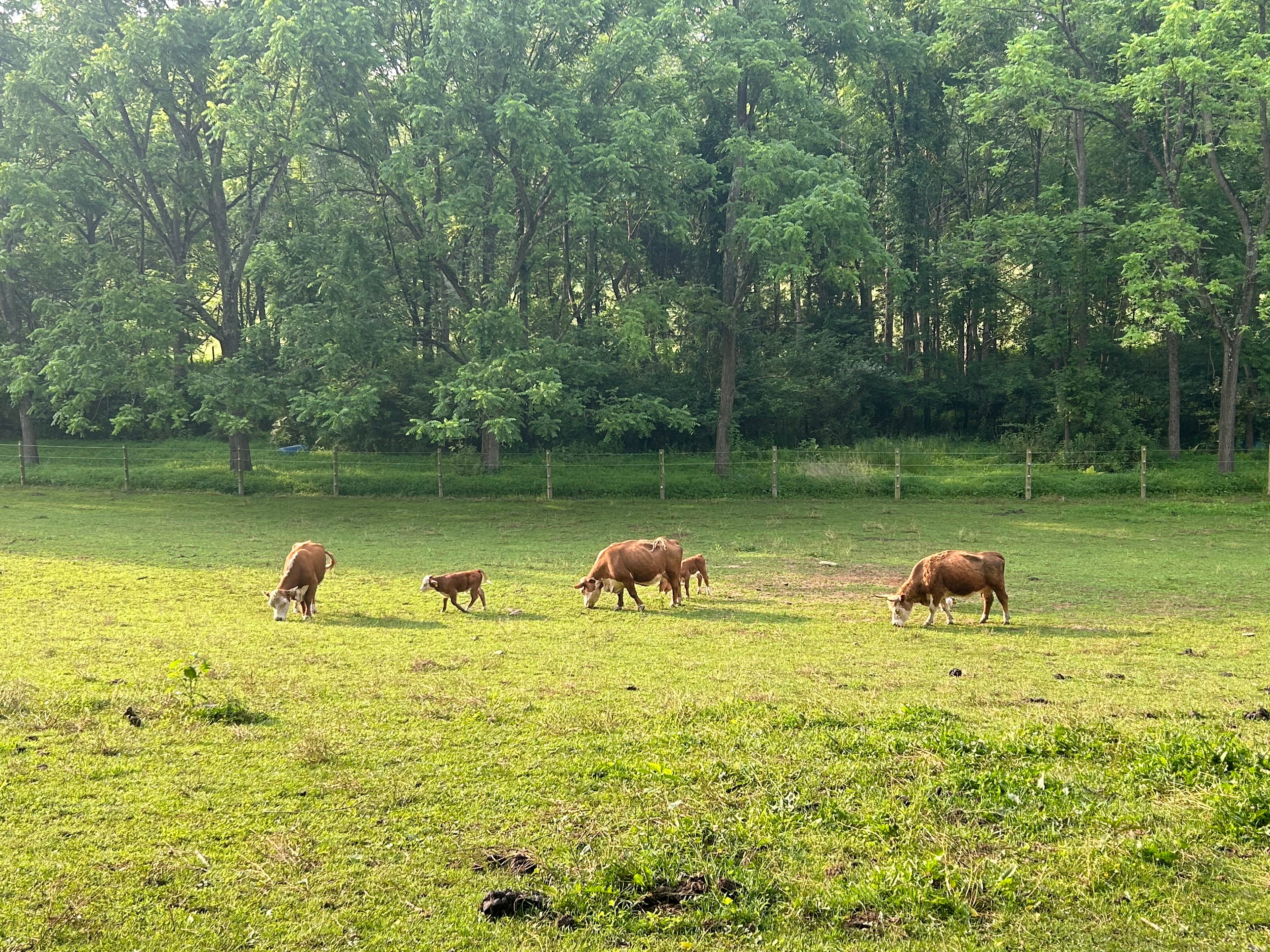 Private Farm
