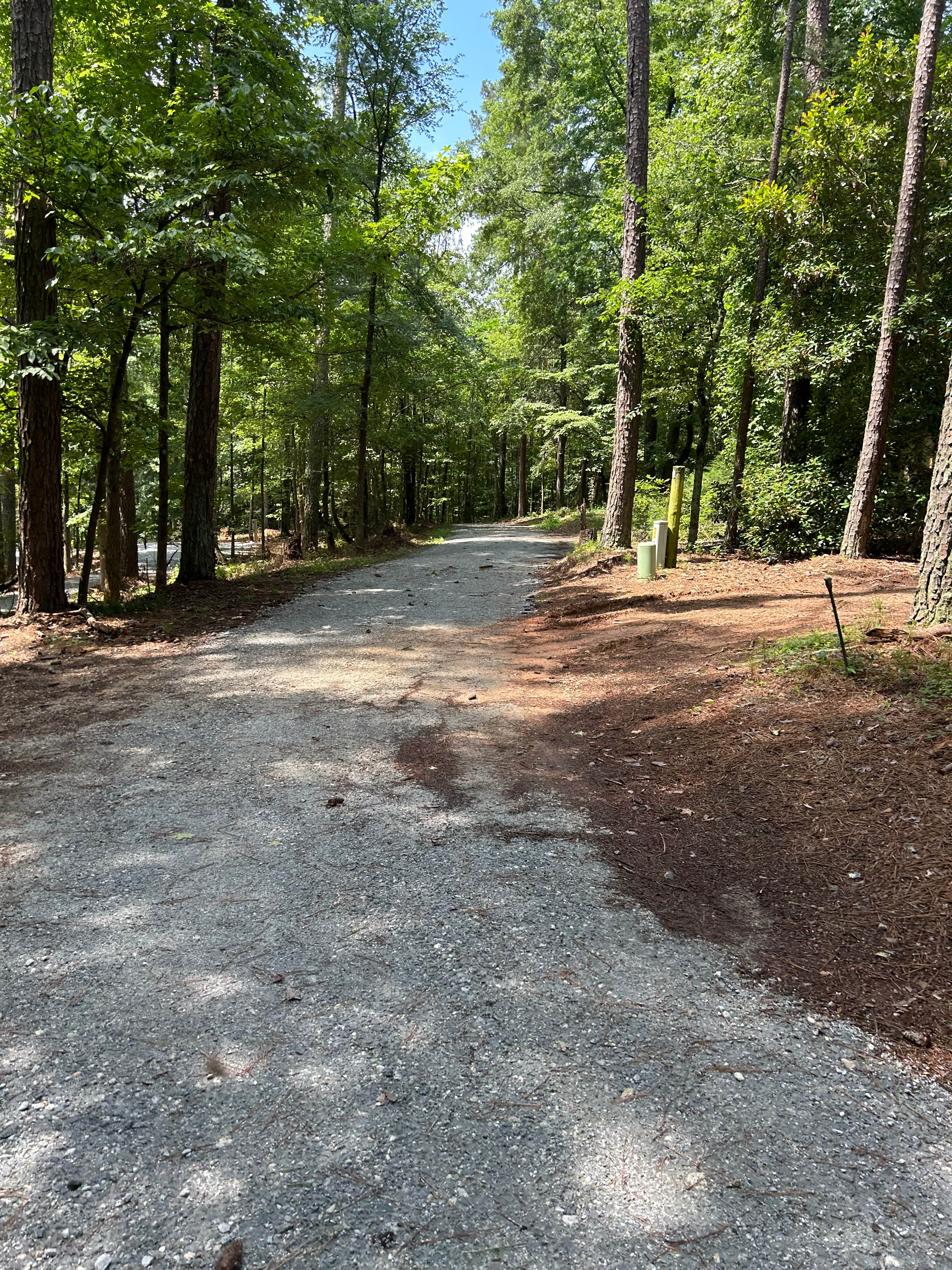 Emma’s Forest Hideaway