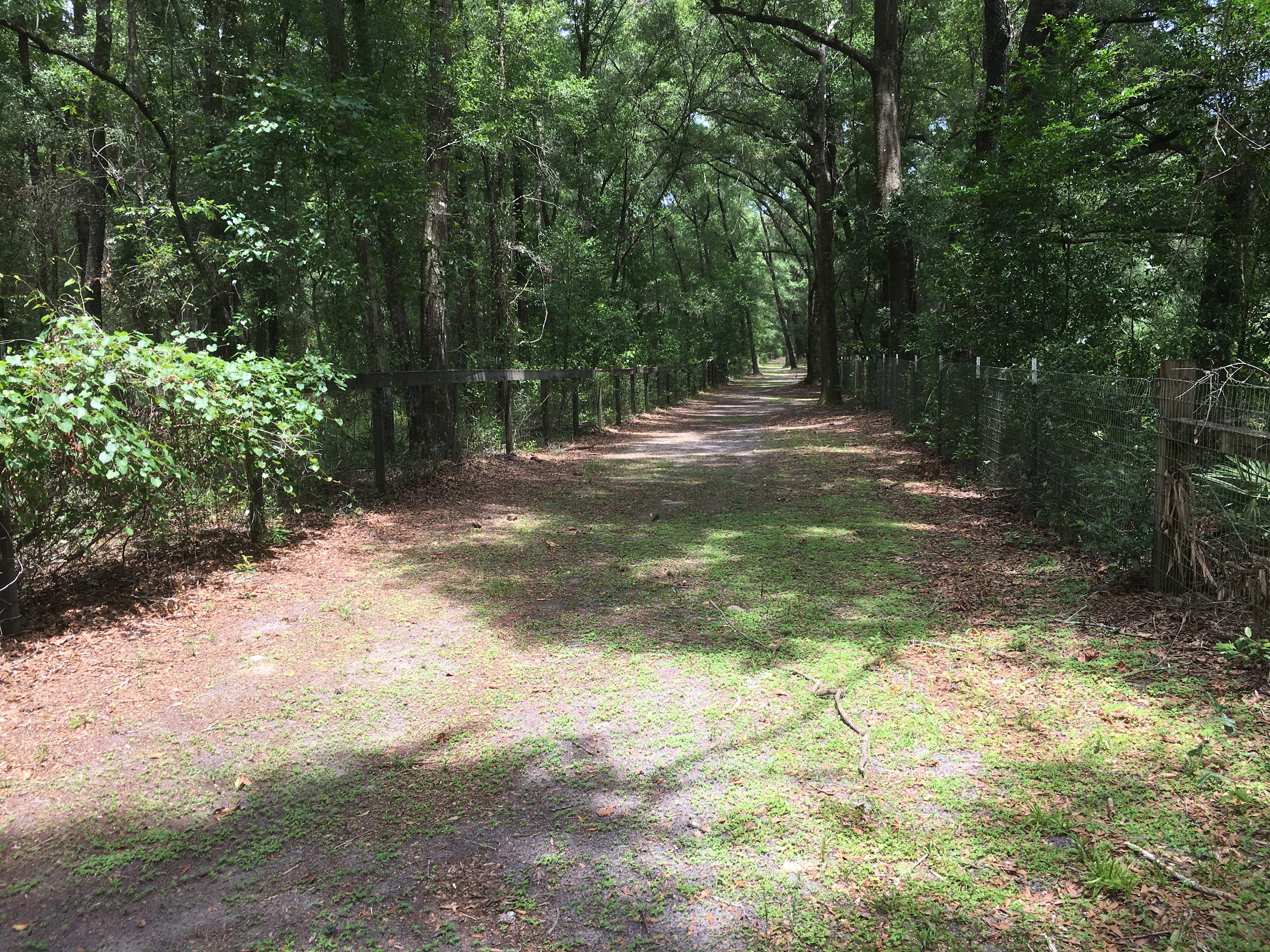 This photo shows part of the walking trail that is available for you to enjoy.