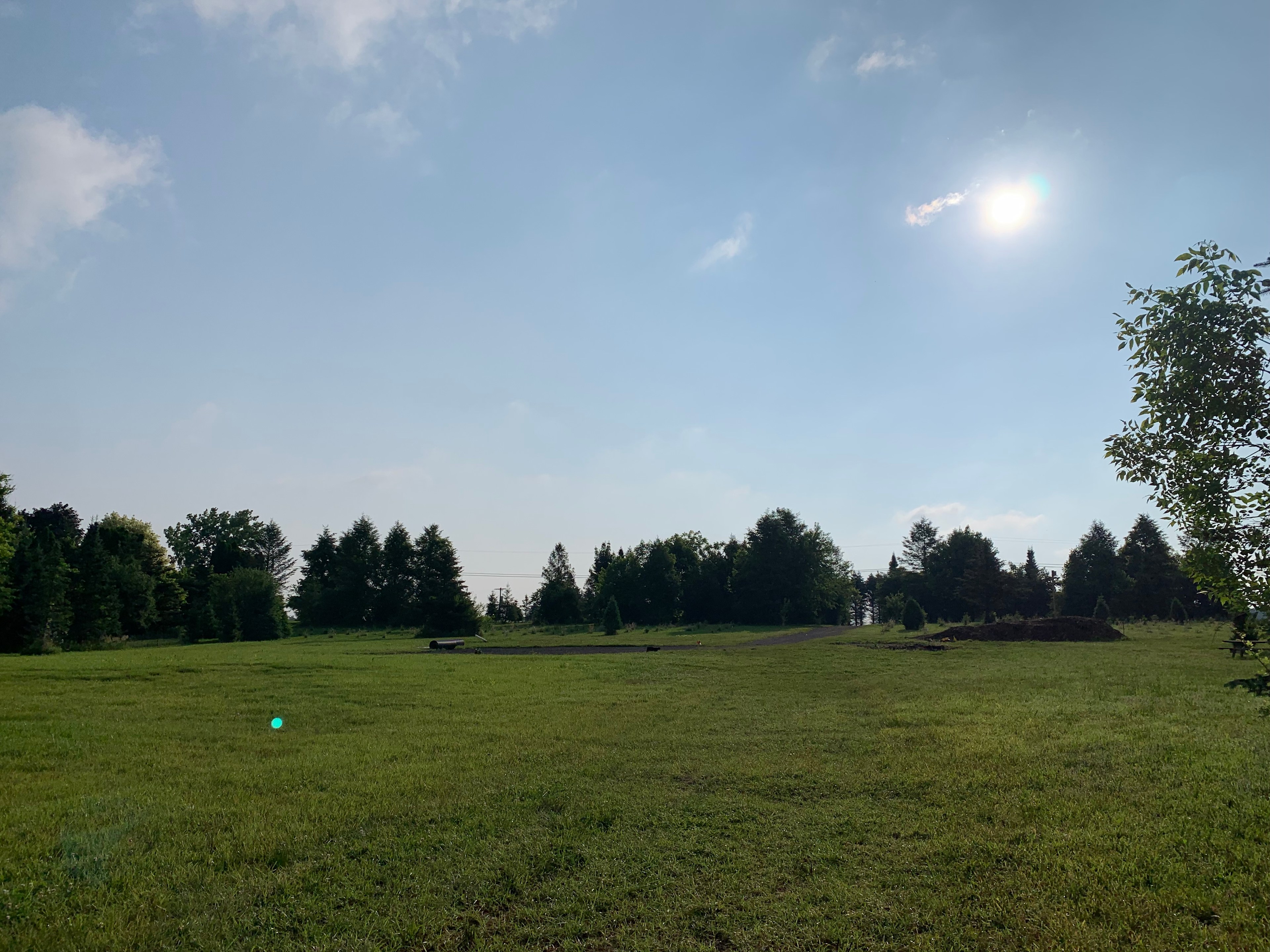 Kunes Pine & Pasture