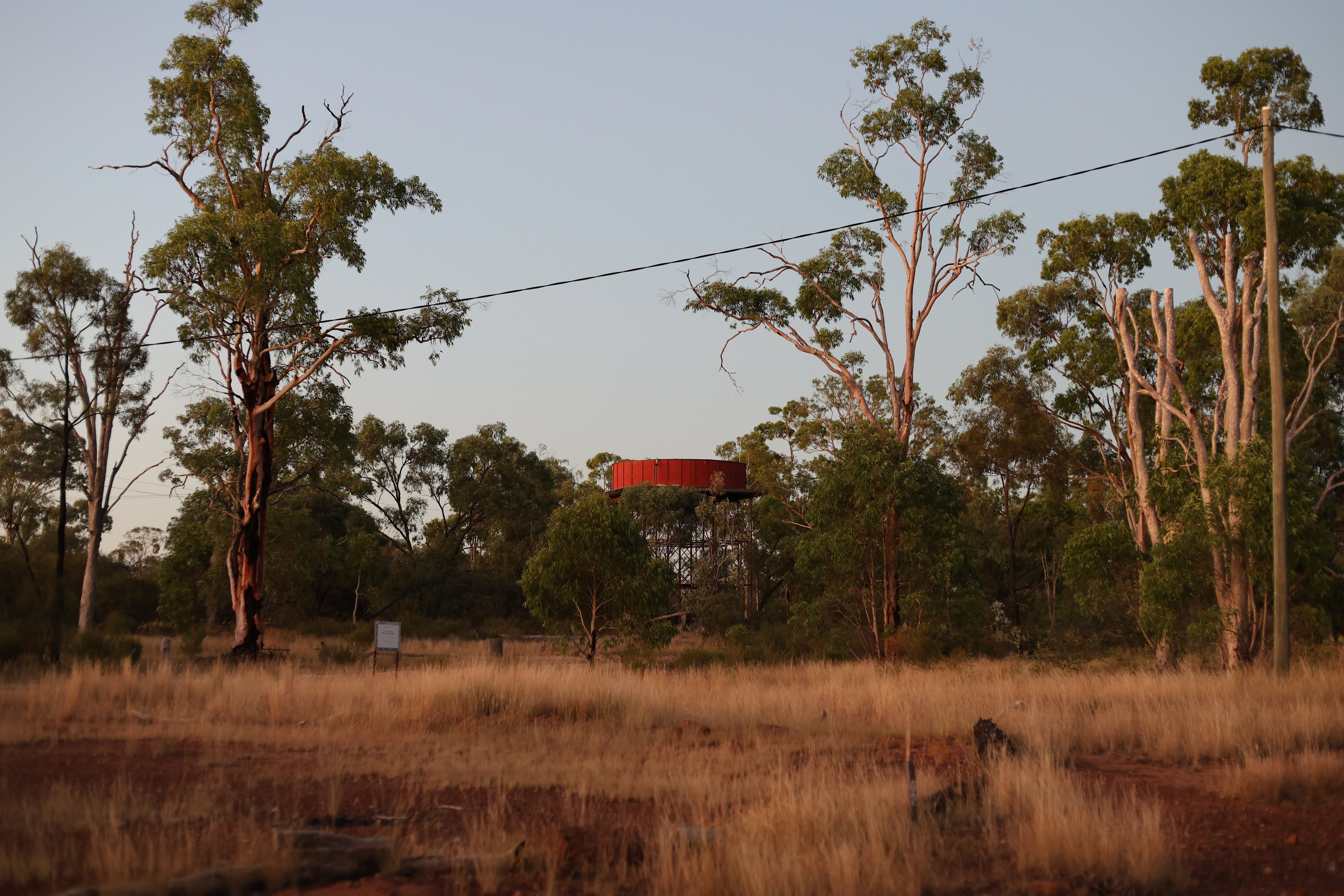 Myall Park Botanic Camp & Retreat