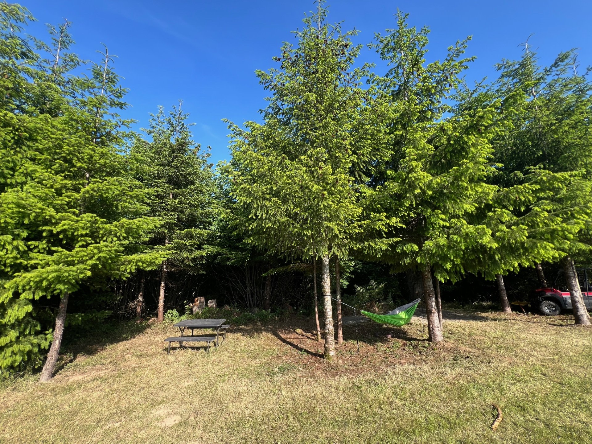 Sharon's View-Pickleball and Hiking