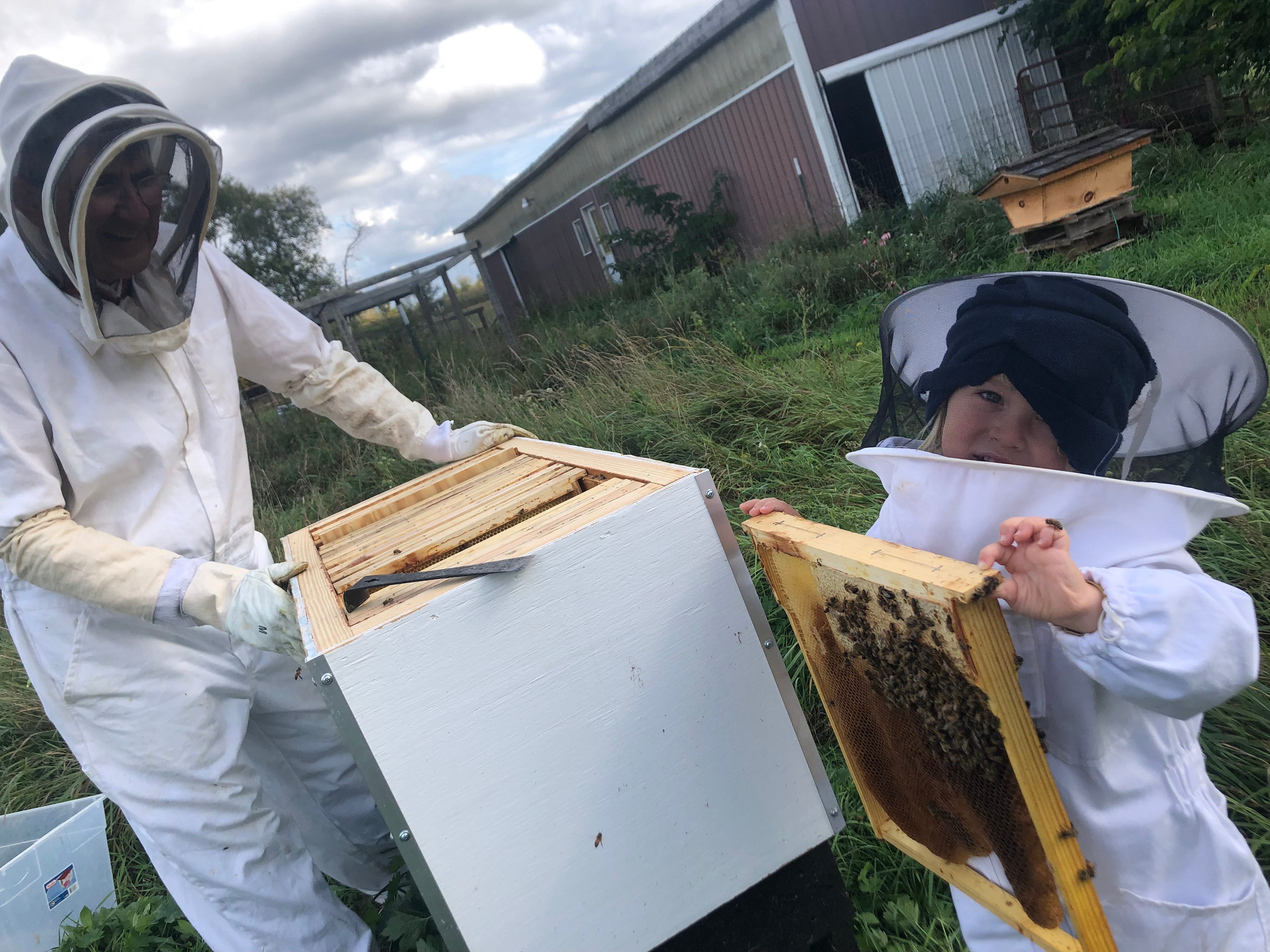 Beehive Air Therapy Cabin