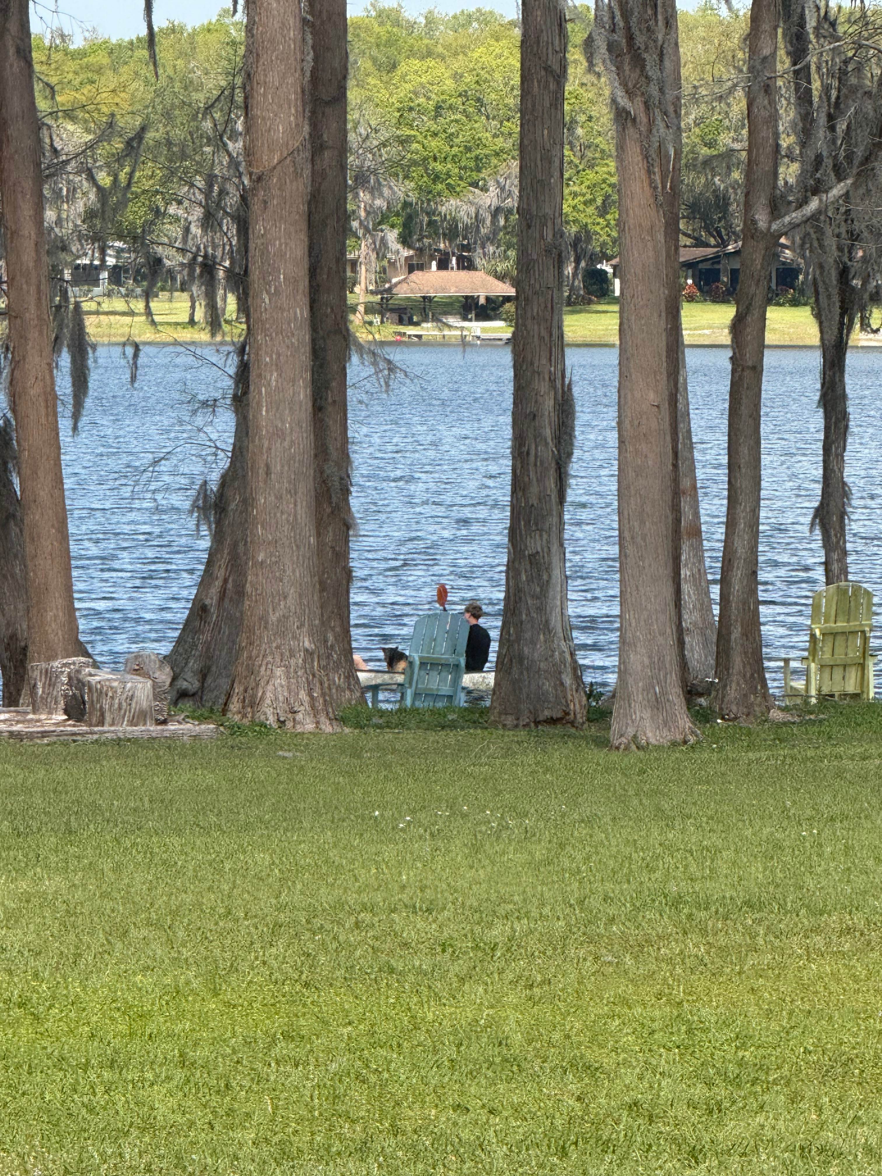 The Farm on Clear Lake