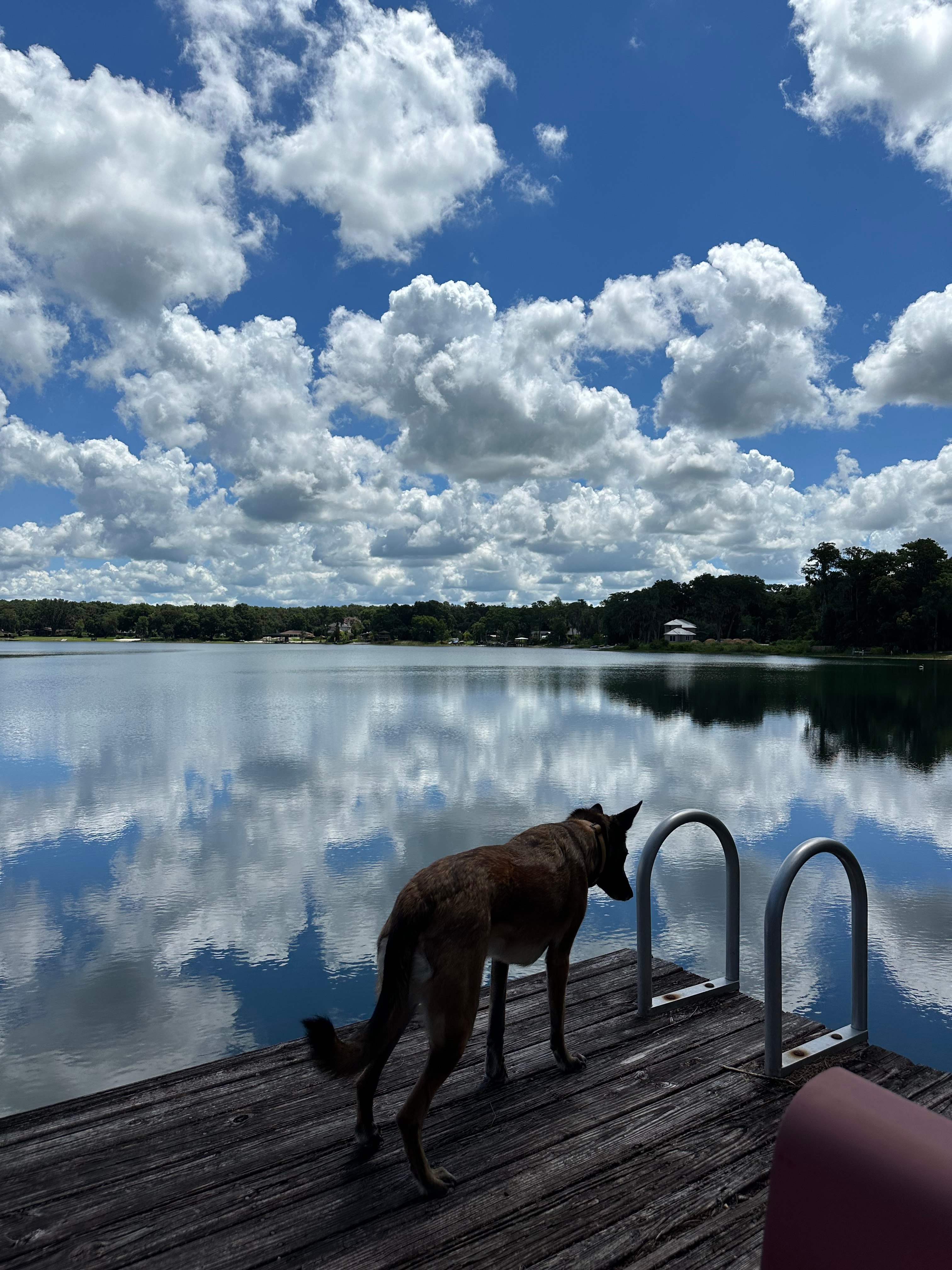 The Farm on Clear Lake