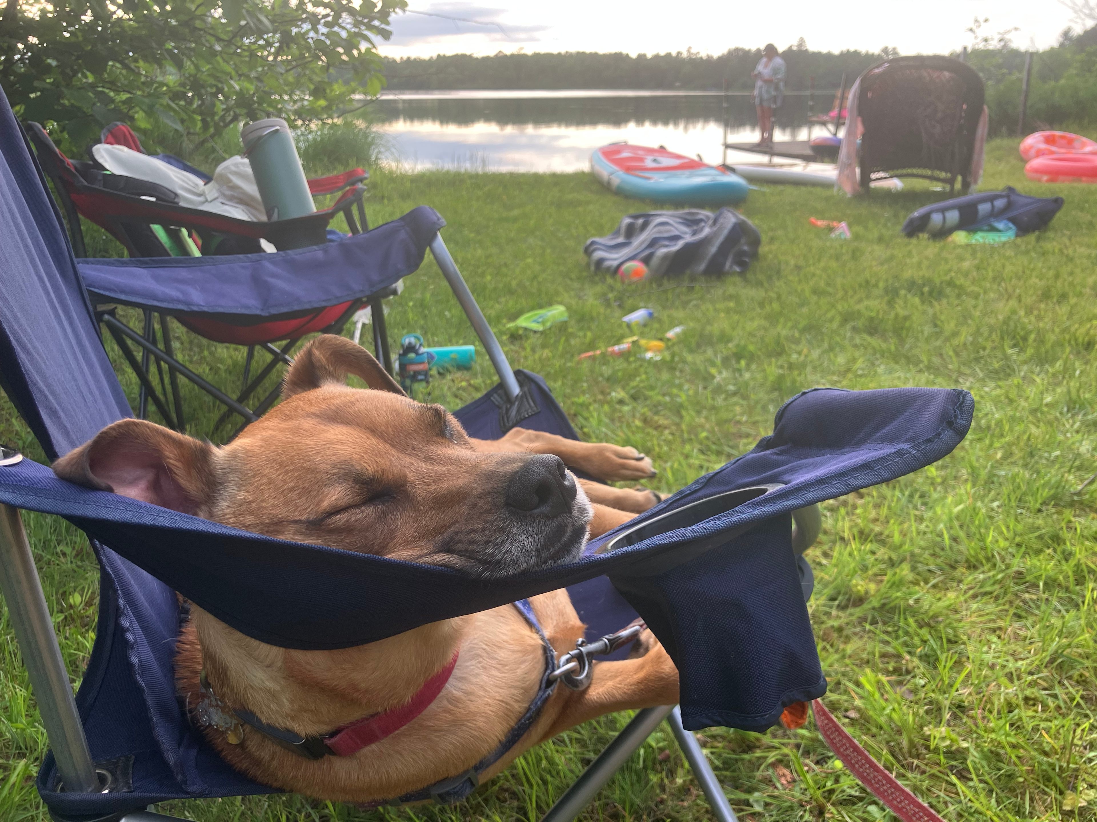 Lakeside Wanderers Refuge-Private!