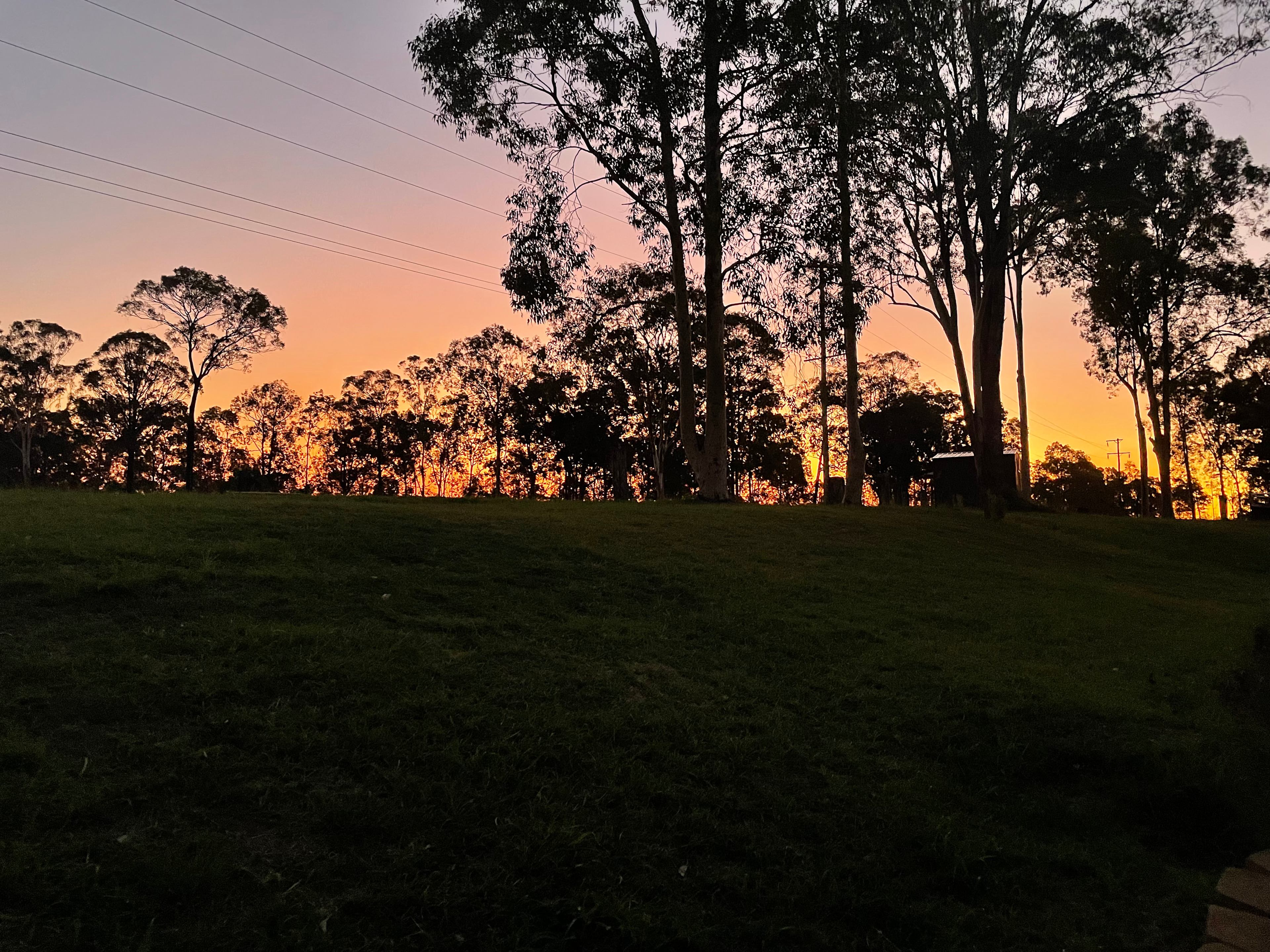Eeyore And Snore Hunter Valley