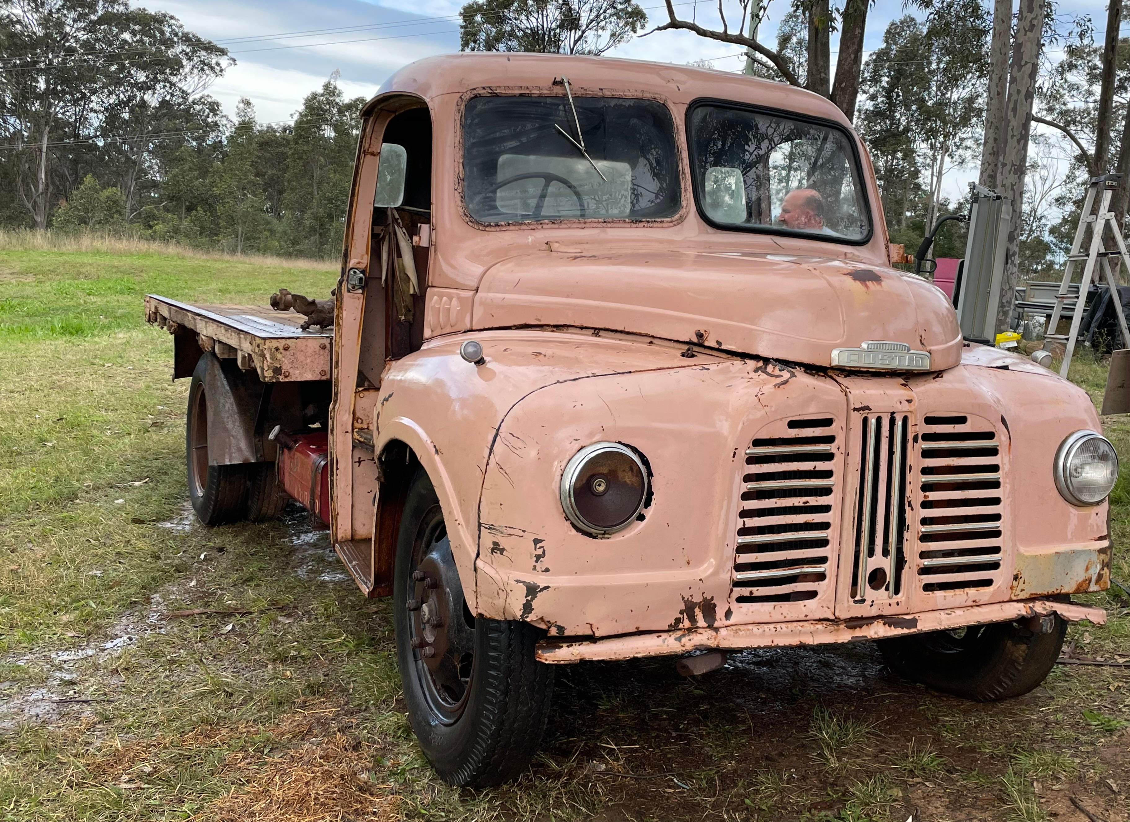 Eeyore And Snore Hunter Valley
