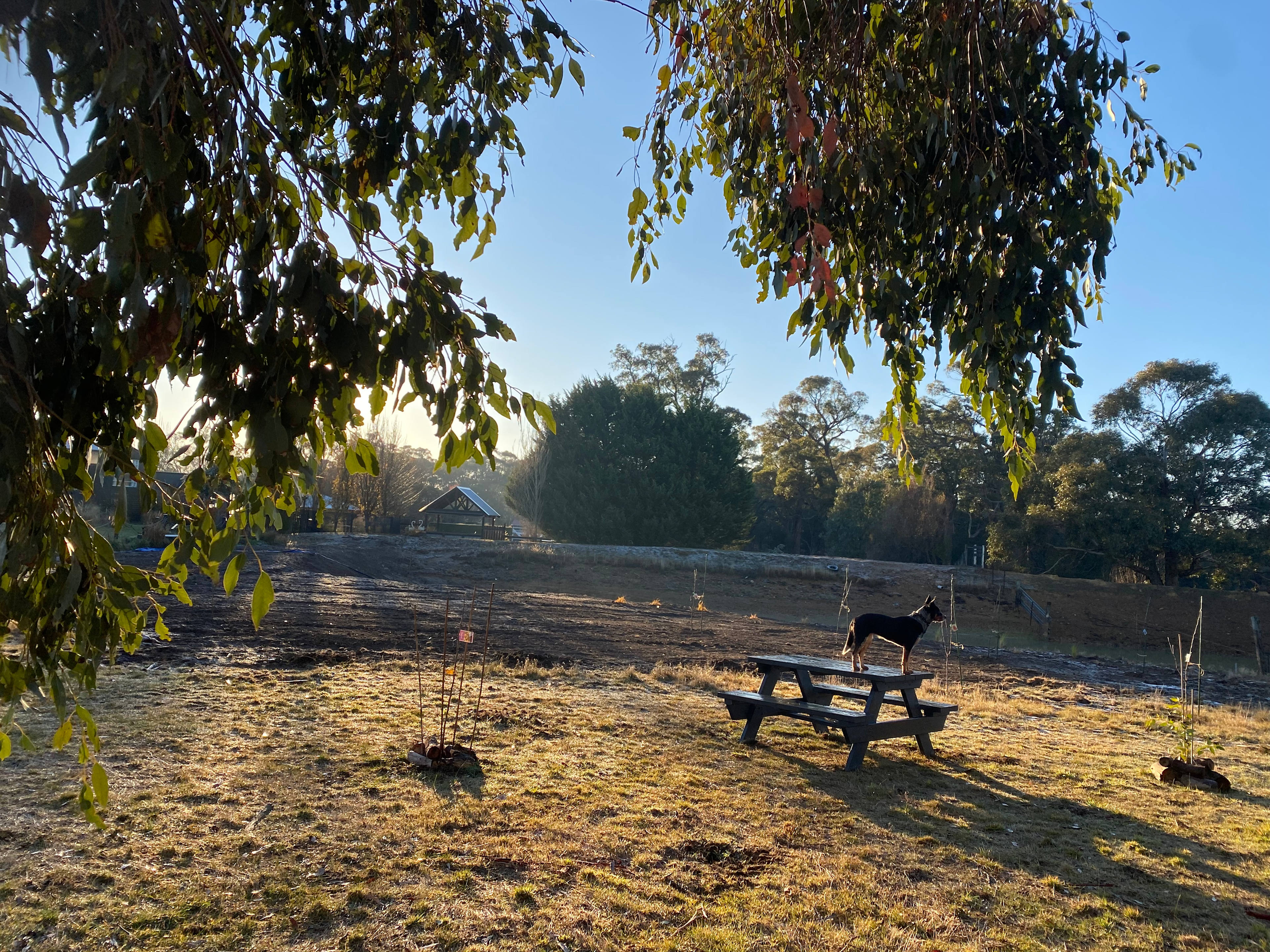 Yeramba Sunset Camp Site