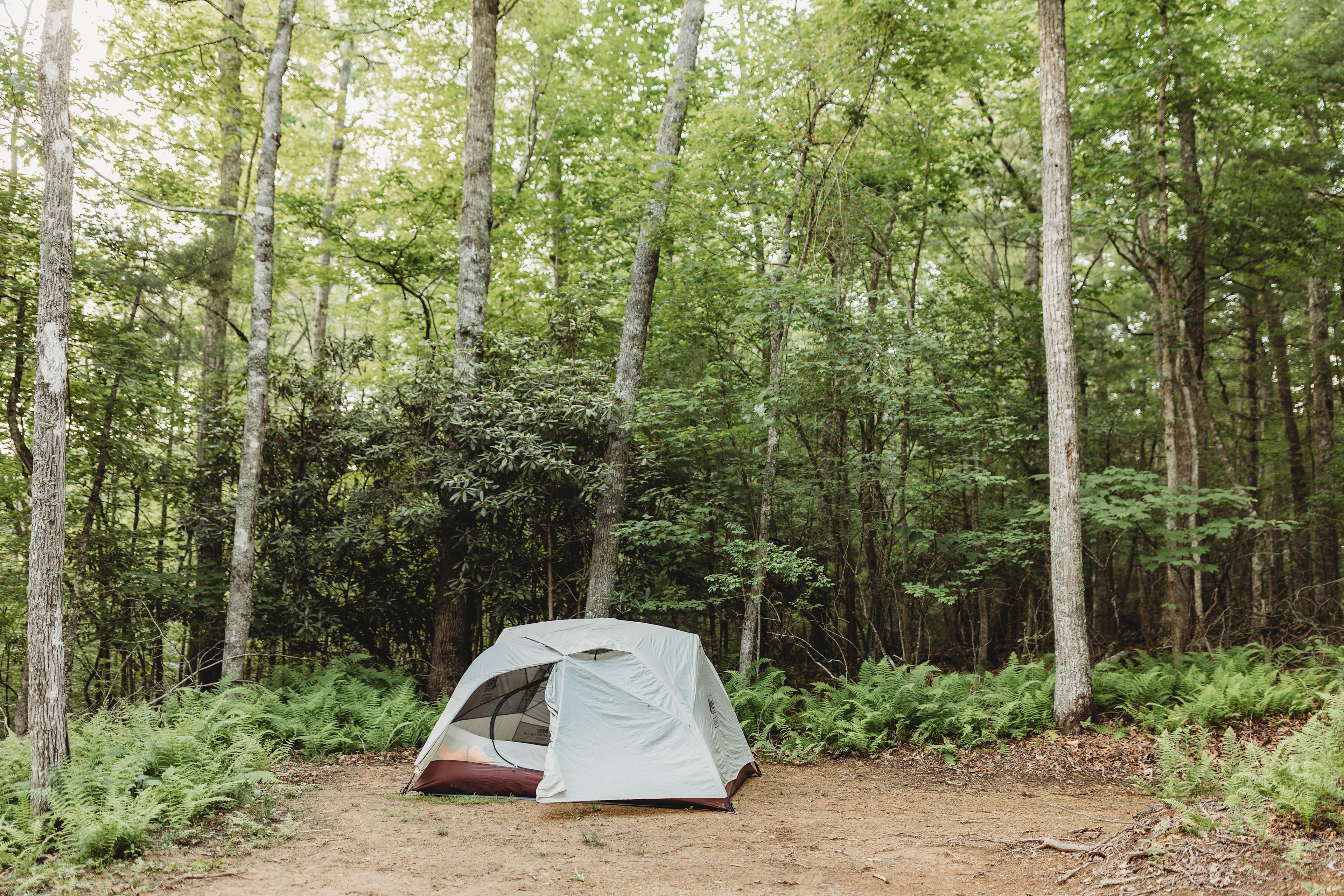 The tent area was big enough for our 4 person tent, with room to spare.